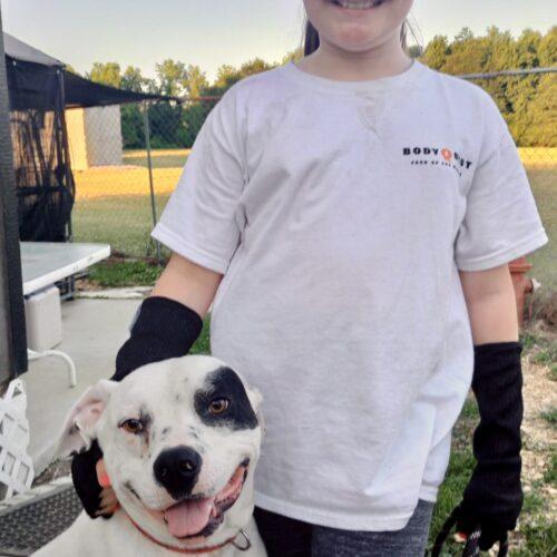 Willie, a Adoptable mixed breed in Leesburg, AL image 1/6