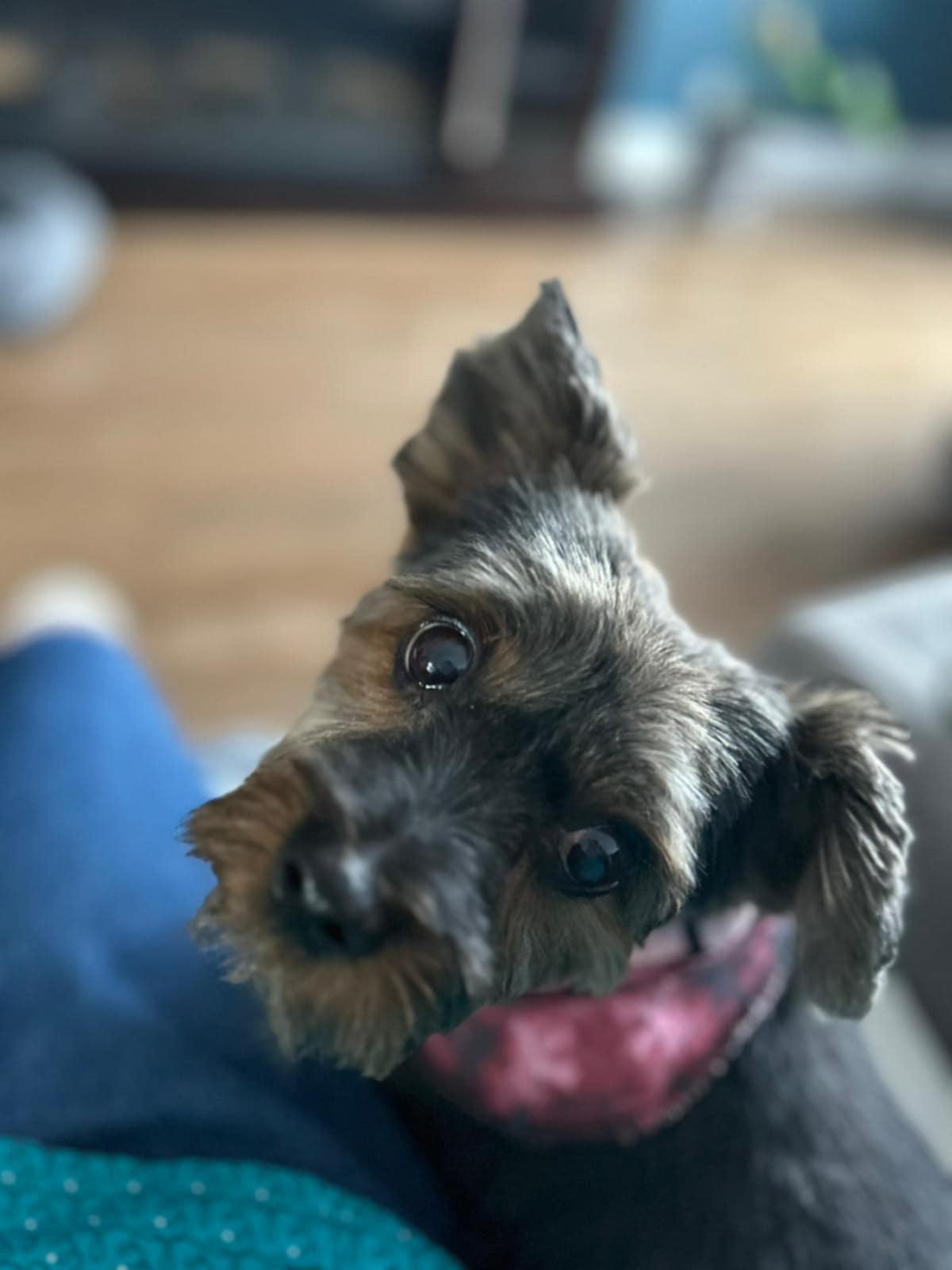 Rosie