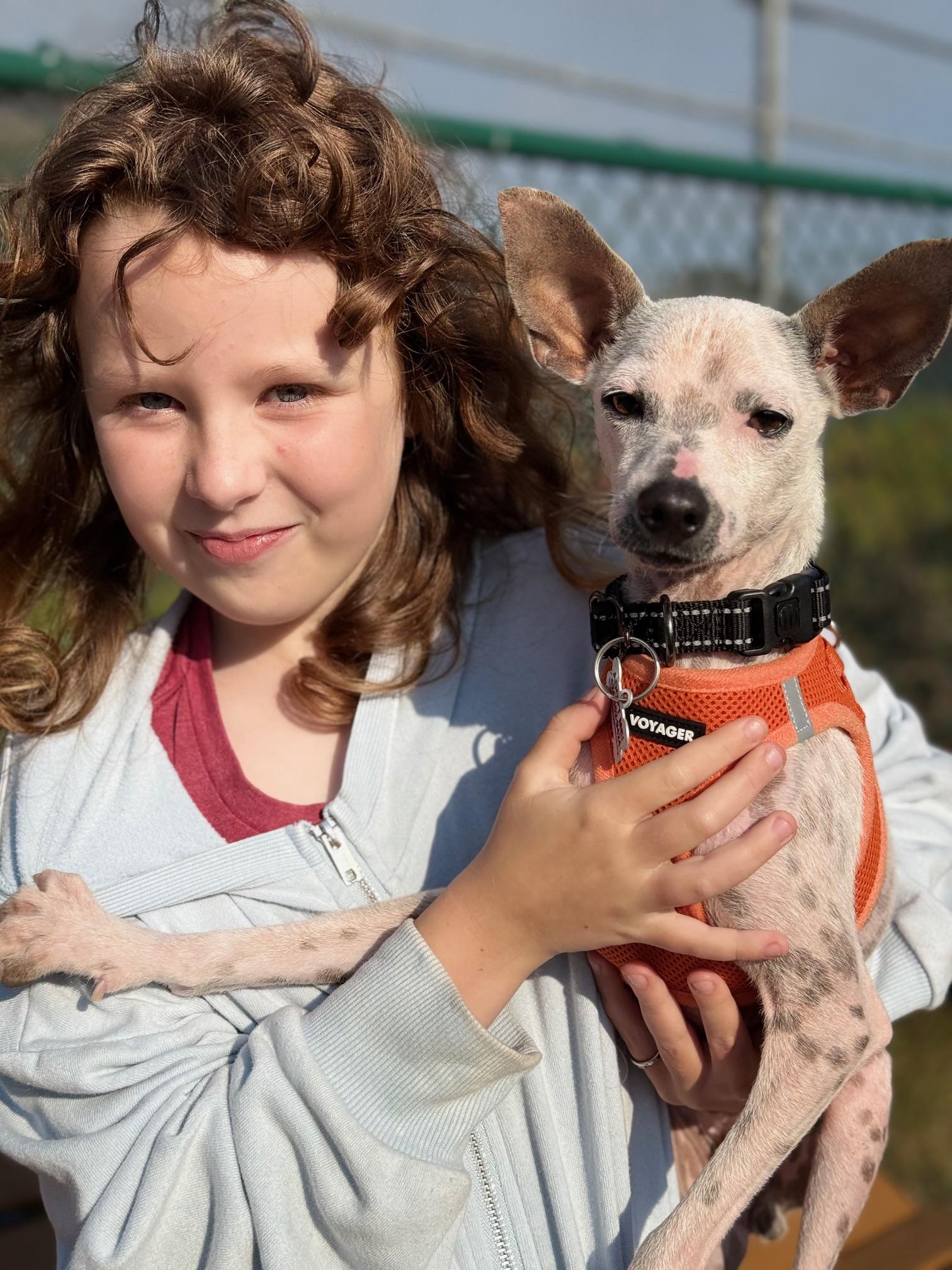 Antonio, a Adoptable mixed breed in Morro Bay, CA image 1/6