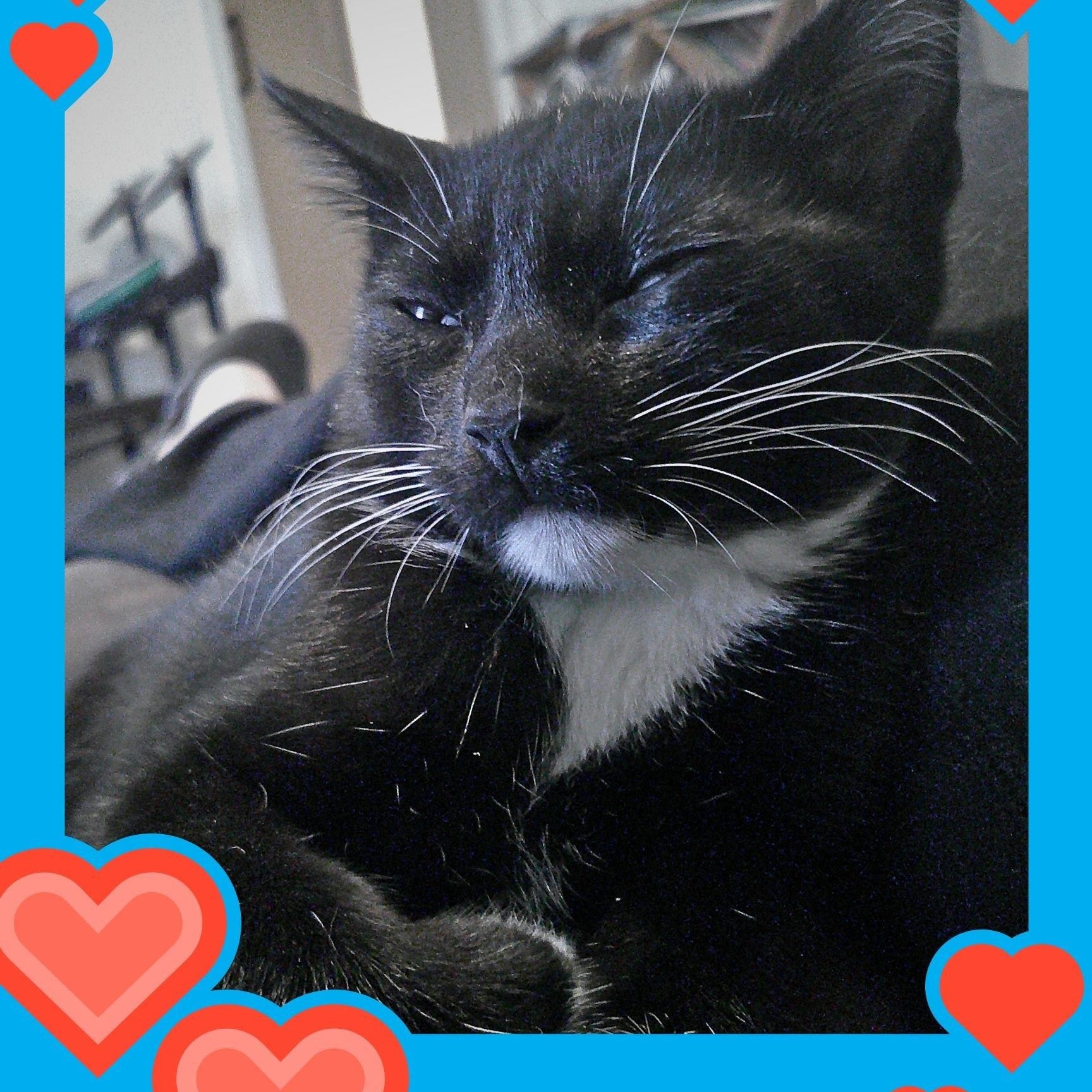 Cadbury