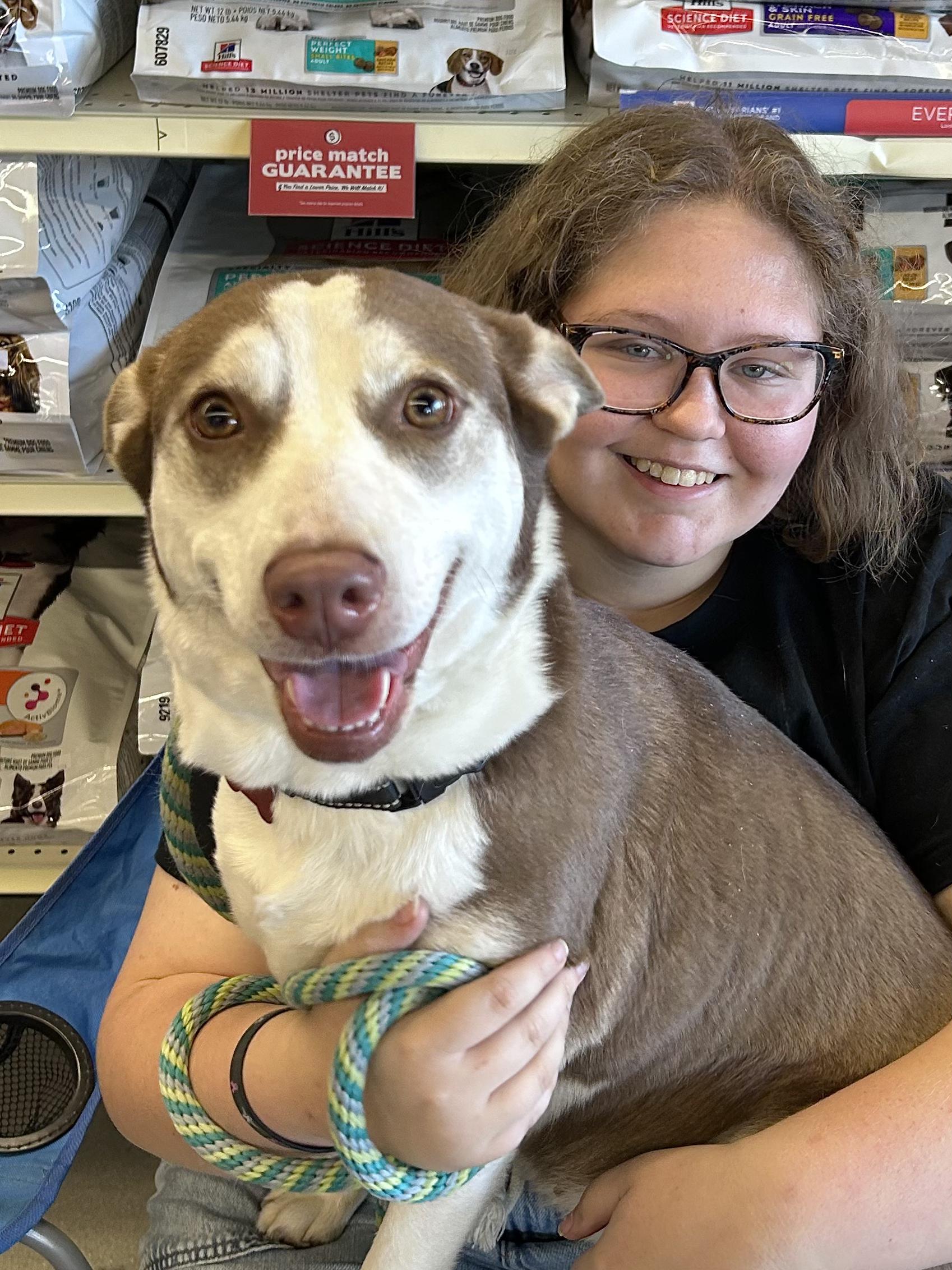 Enlarge Naomi, a Adoptable mixed breed in Clayton, NC image 3/6