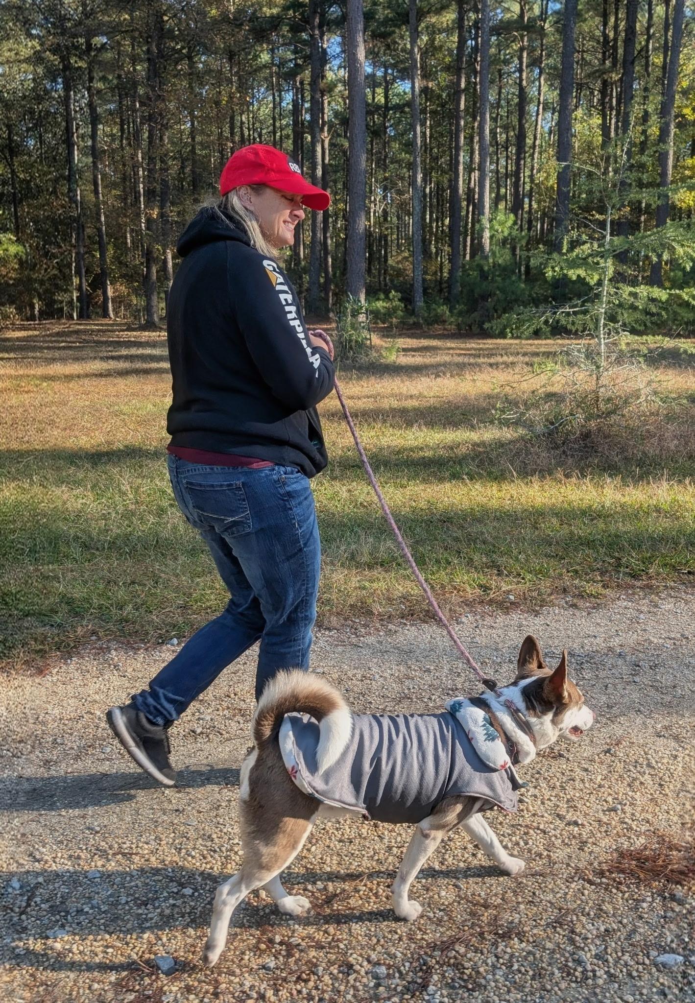 Enlarge Naomi, a Adoptable mixed breed in Clayton, NC image 5/6
