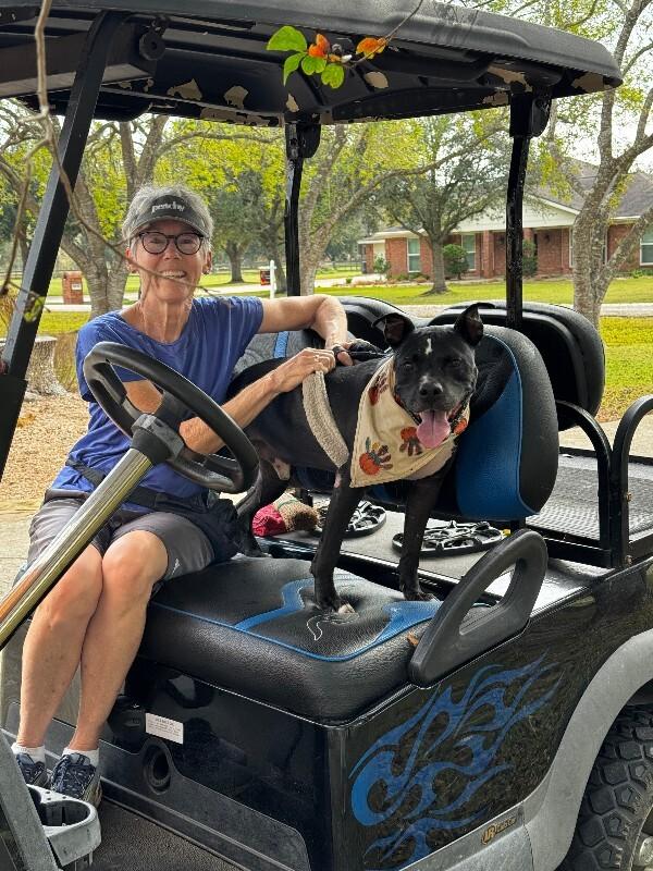 Baylor Banjo Morning Coffee Buddy — thumbnail 2