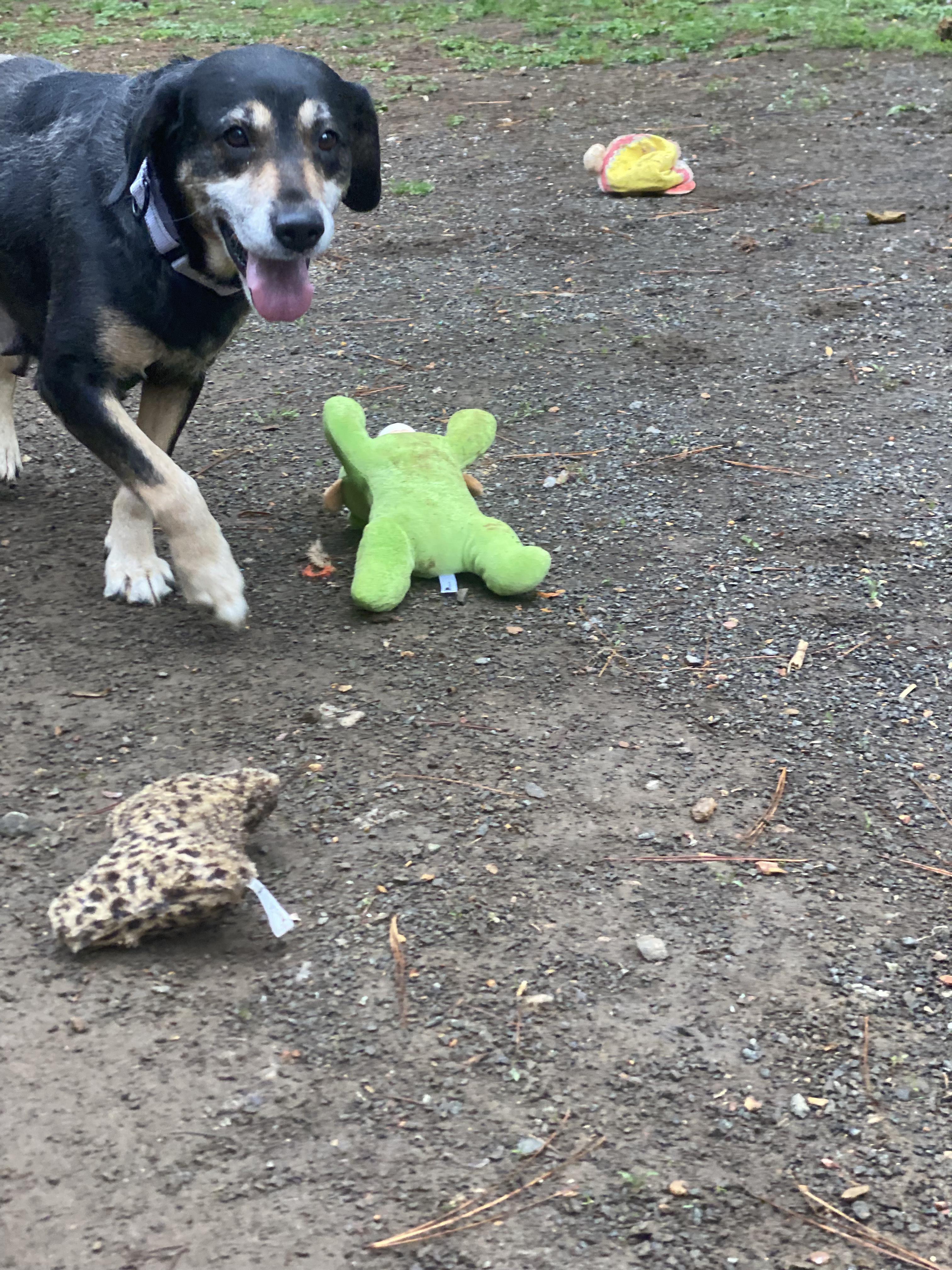 Skittles thumbnail 4