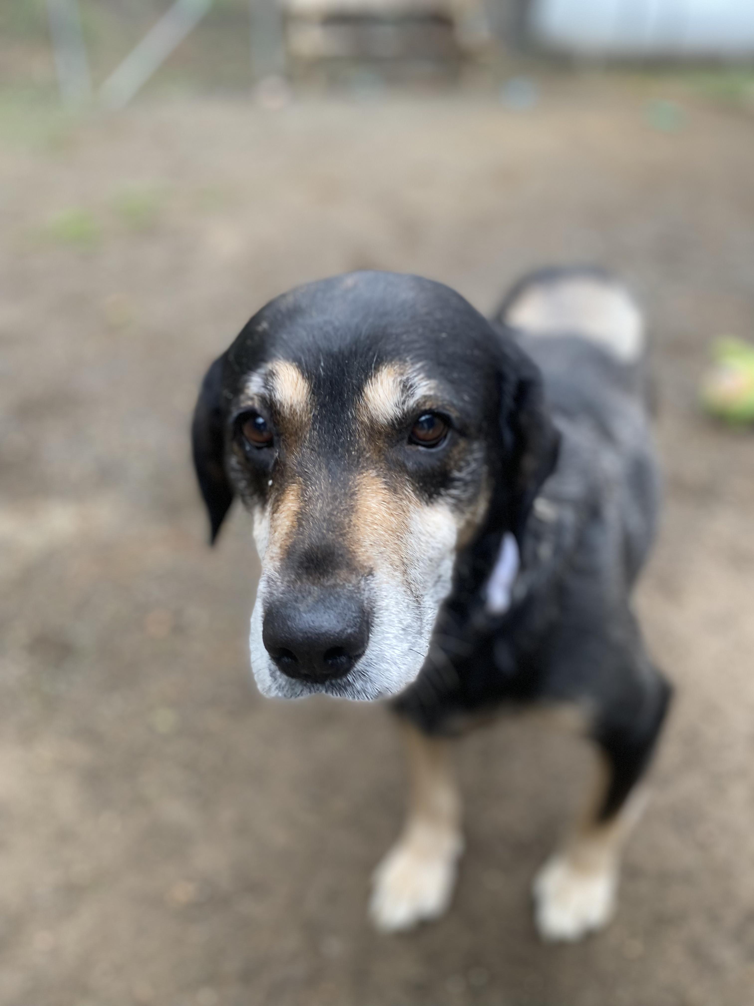 Skittles thumbnail 5