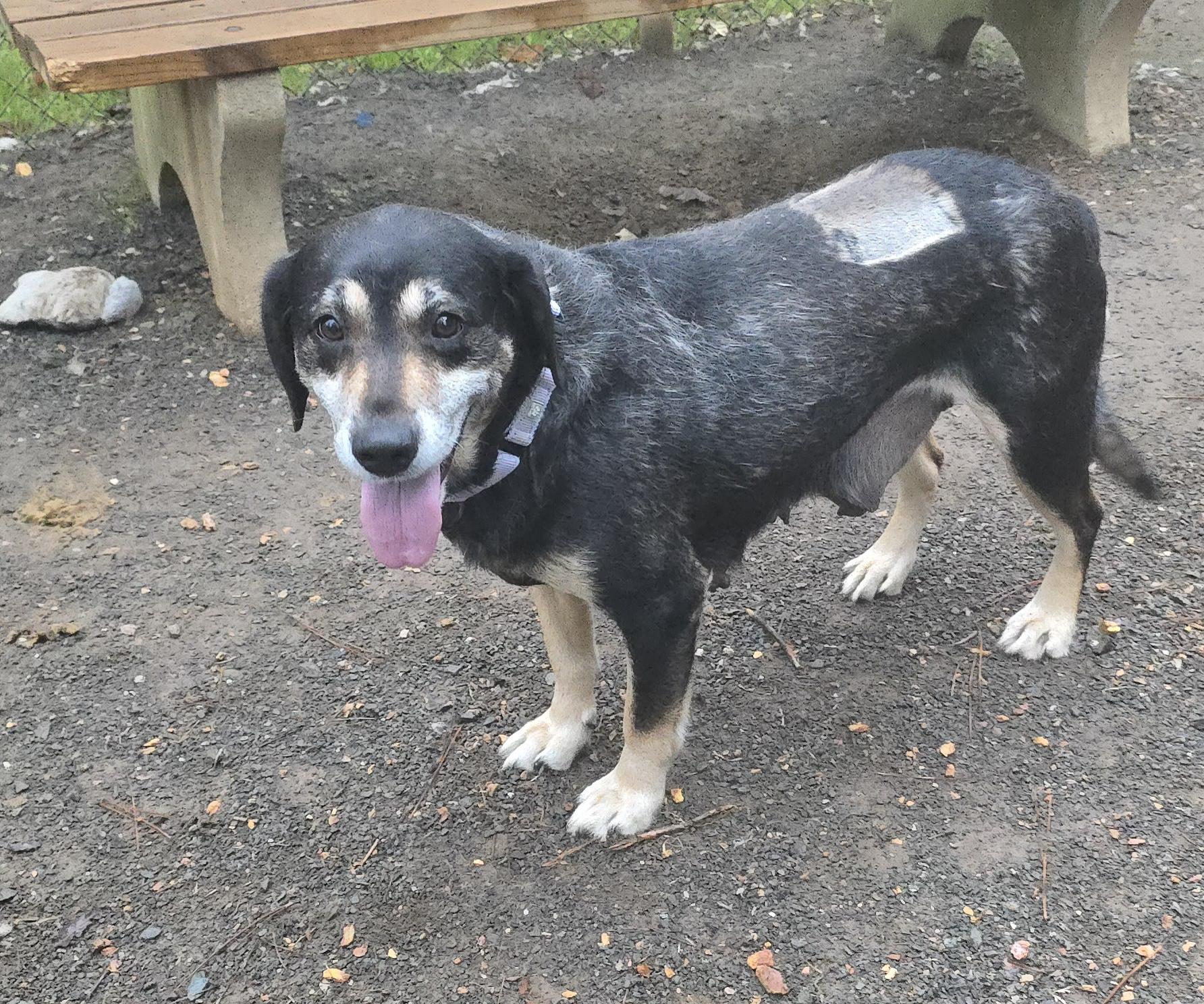 Skittles thumbnail 6