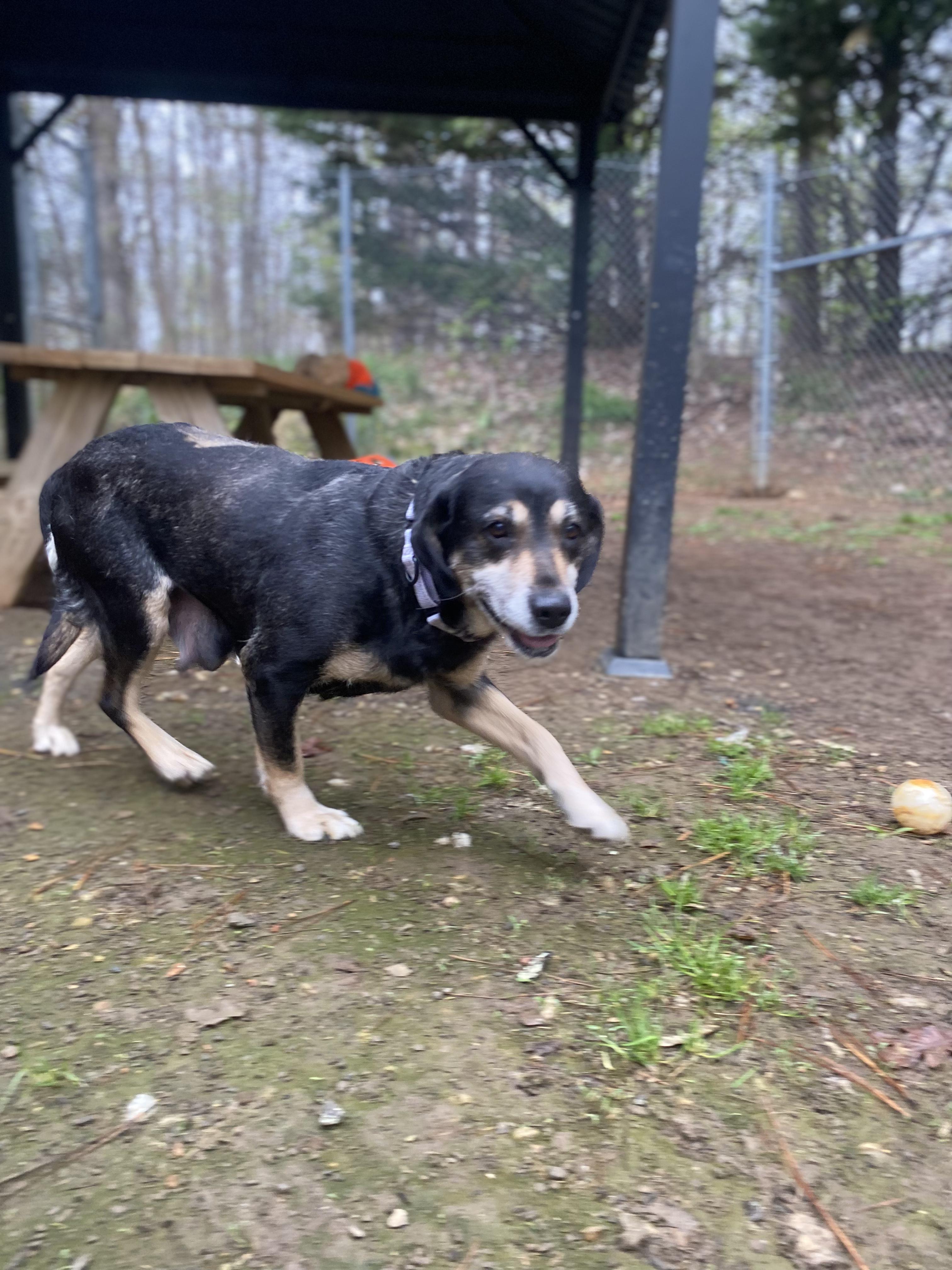 Skittles thumbnail 3