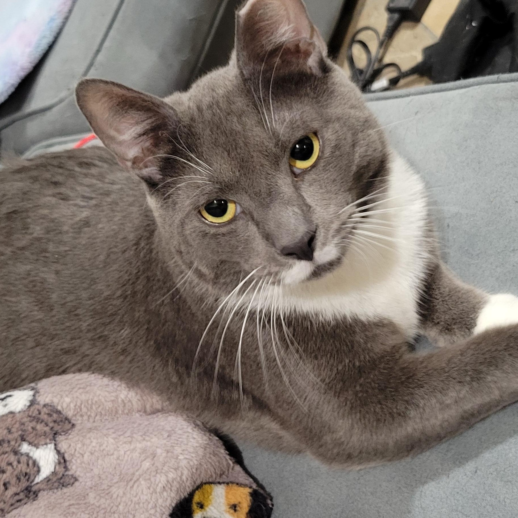 Smoky And Bic thumbnail 2