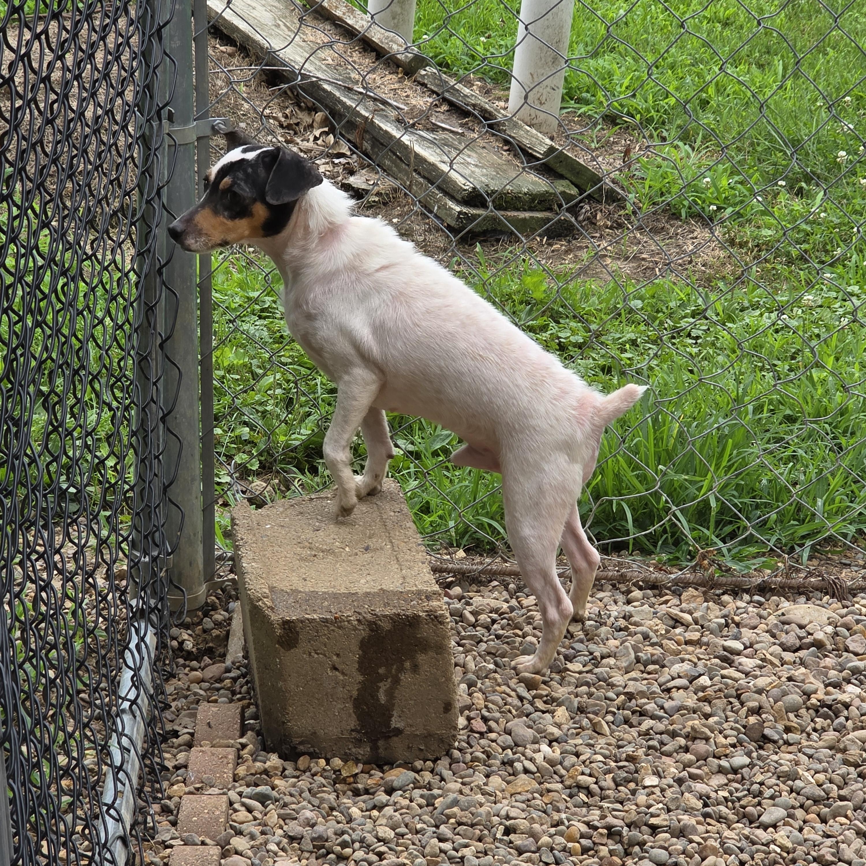 Cheech photo 2