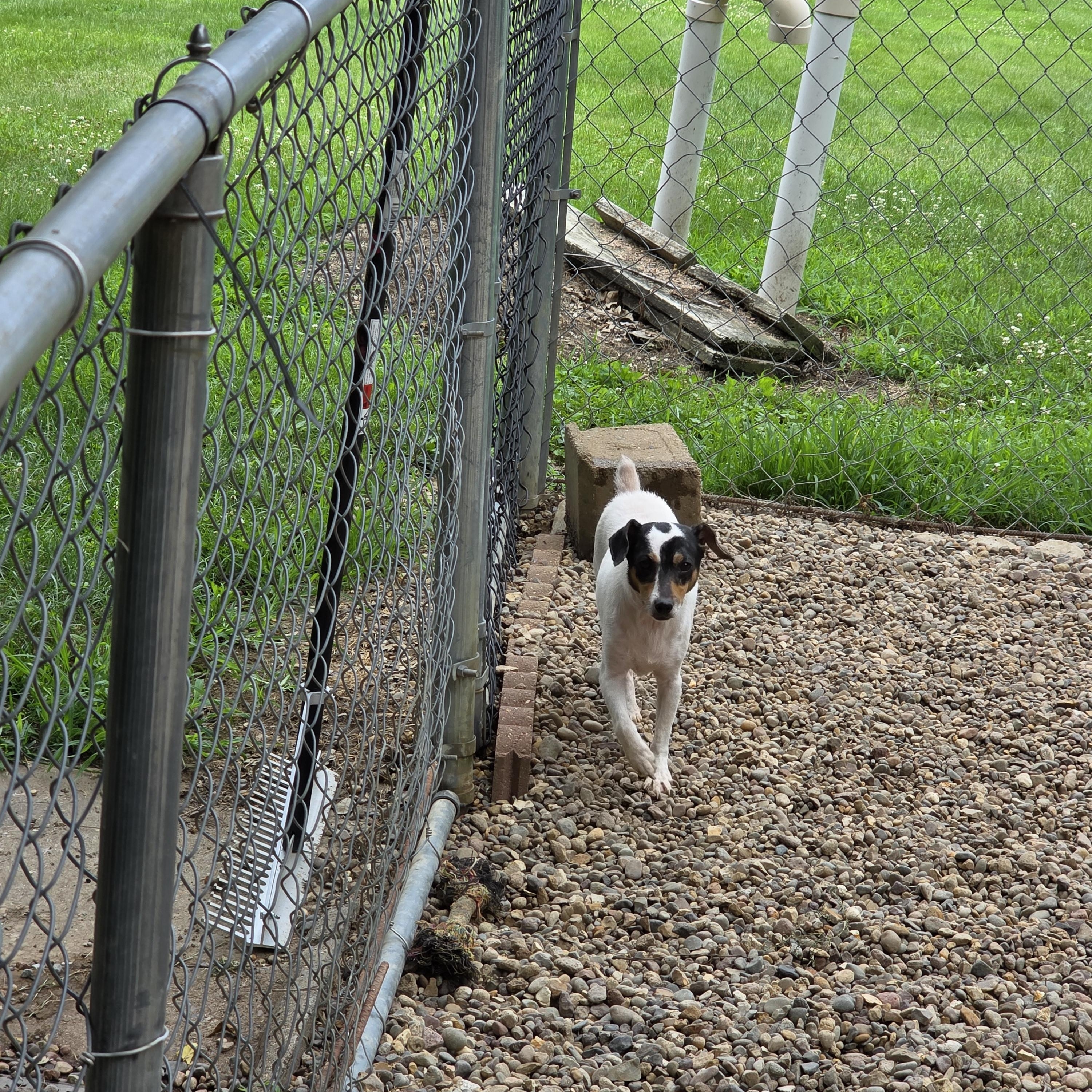 Cheech photo 4