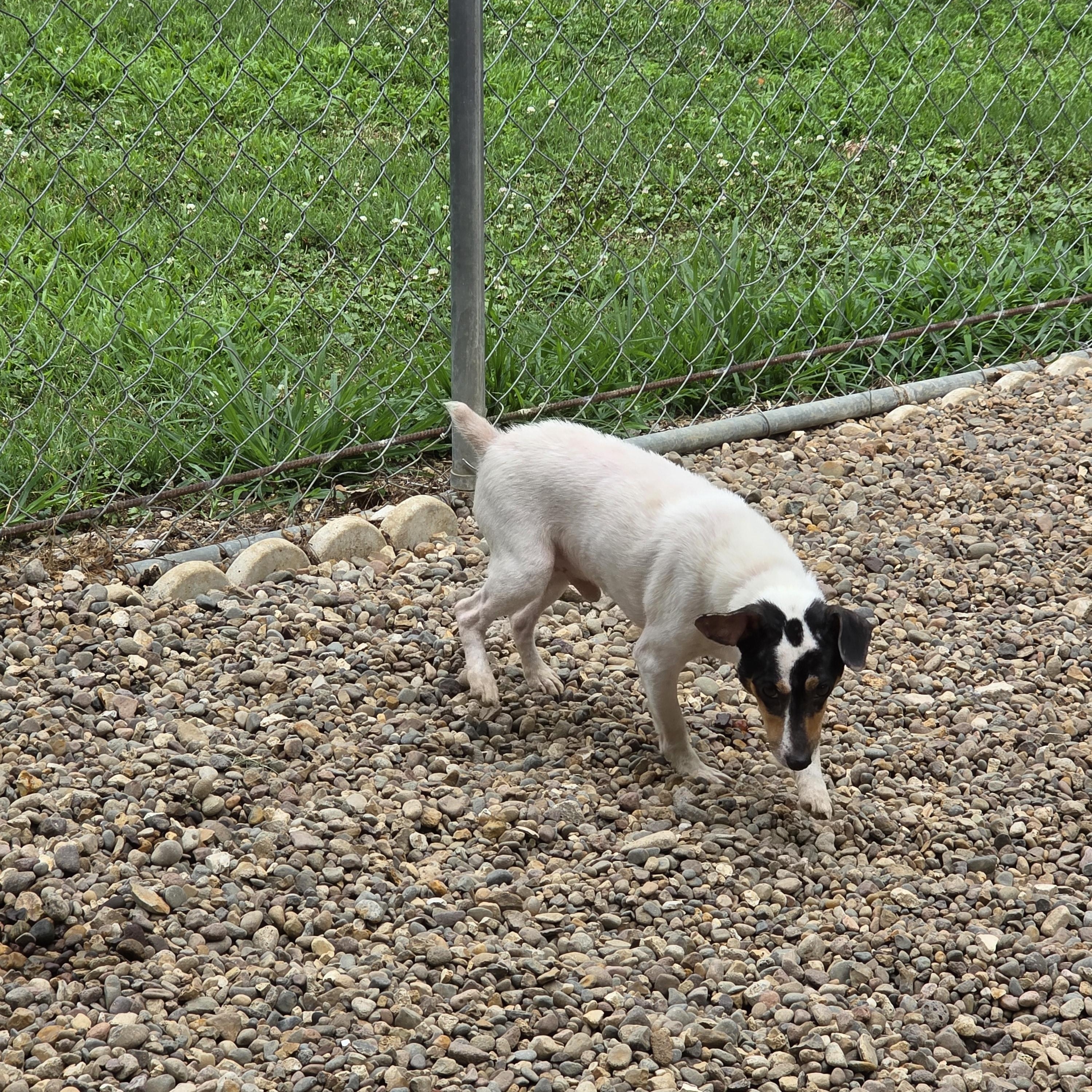 Cheech photo 5