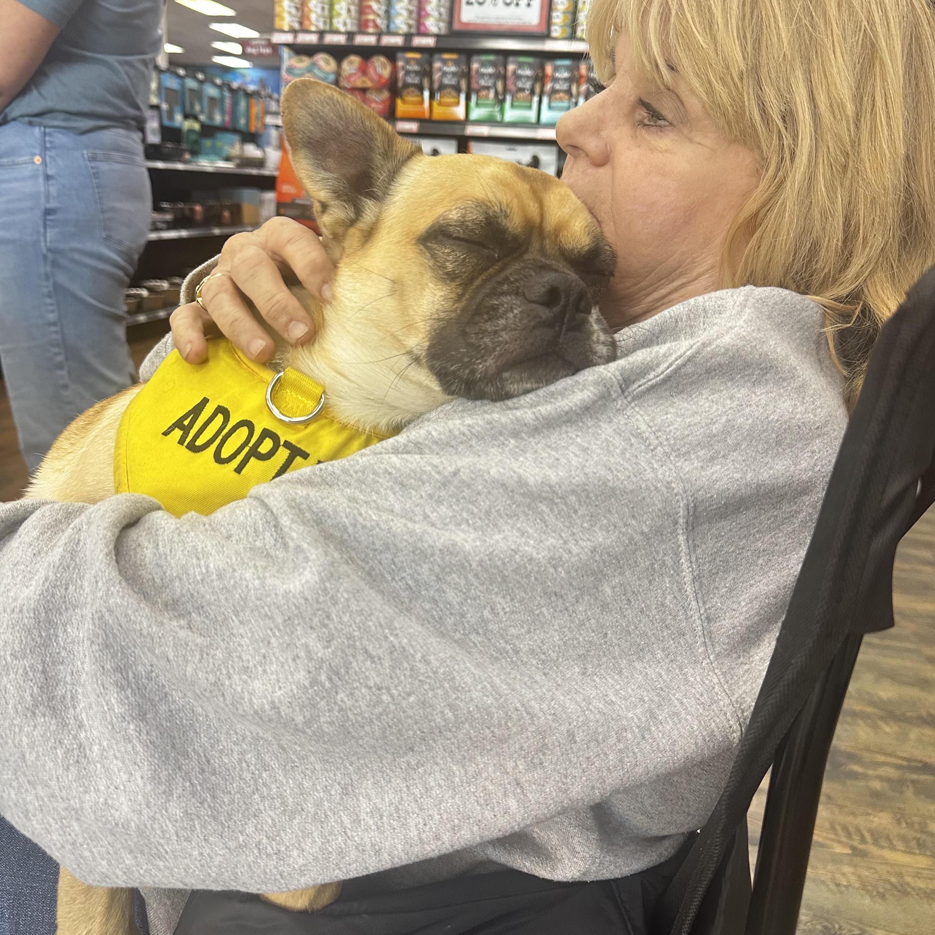 Micky, an adopted mixed breed in Costa Mesa, CA image 2/5