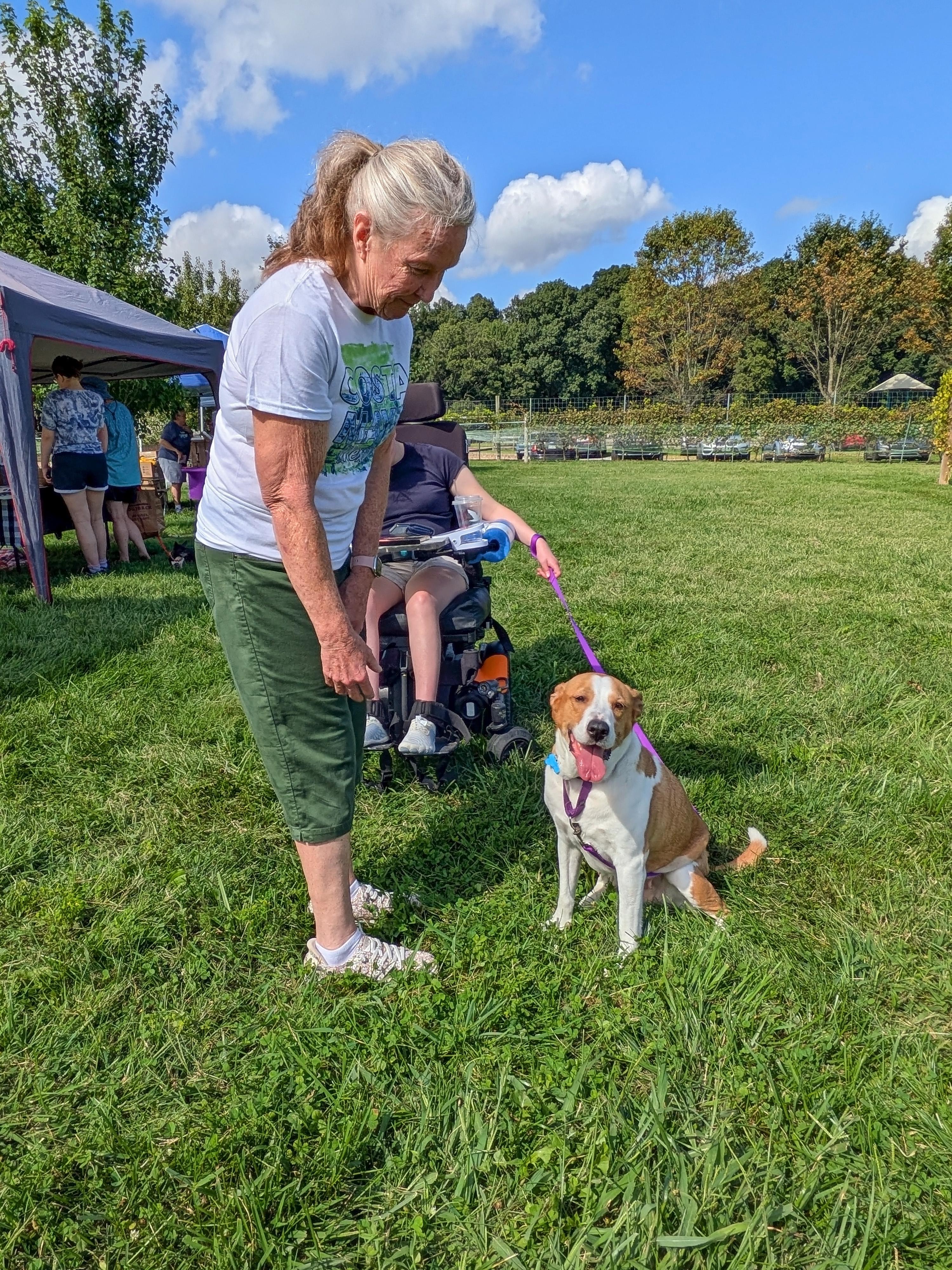 Enlarge Abbey Mae, a Adoptable mixed breed in Landenberg, PA image 3/6