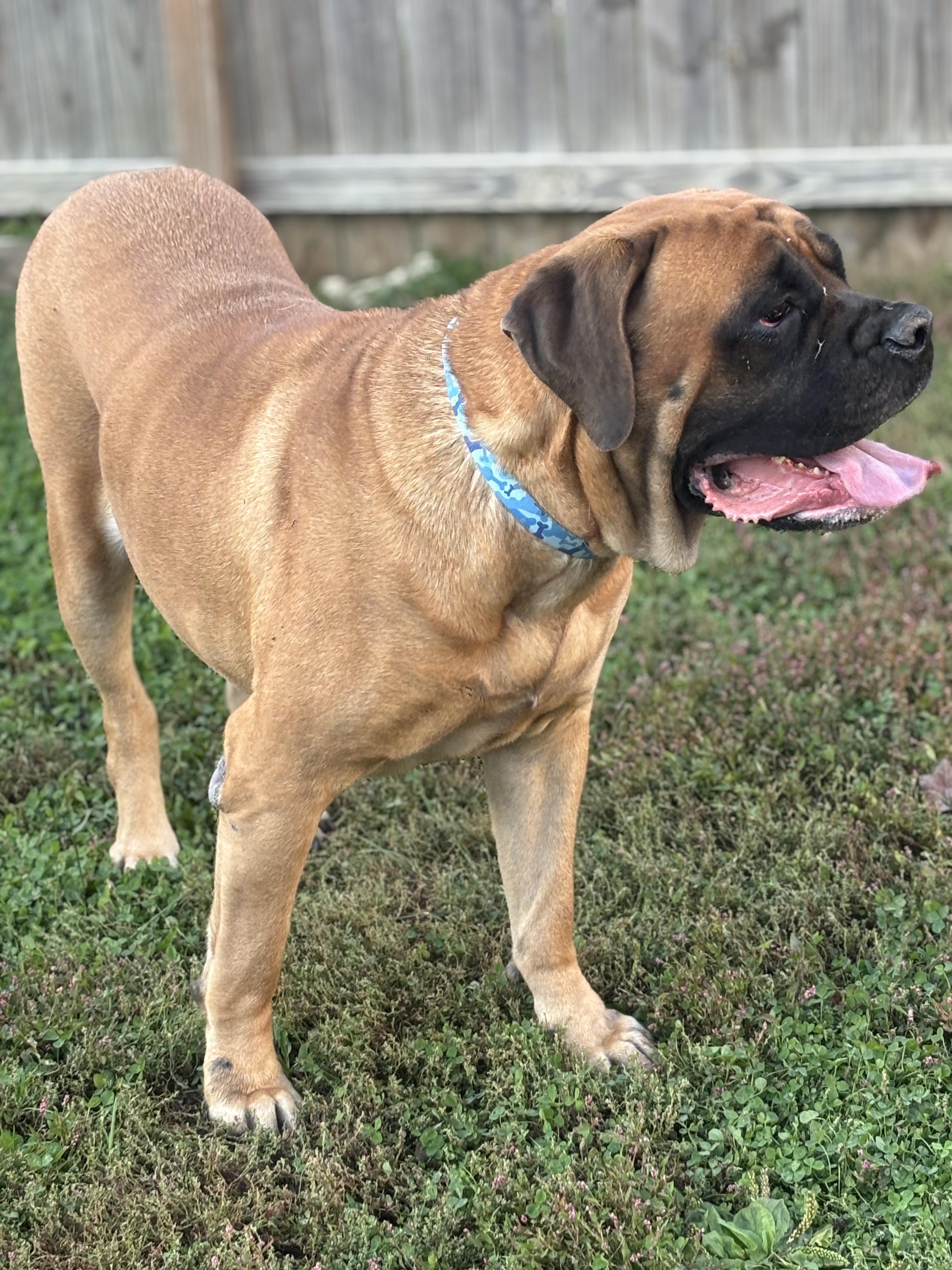 Charlotte — thumbnail 2