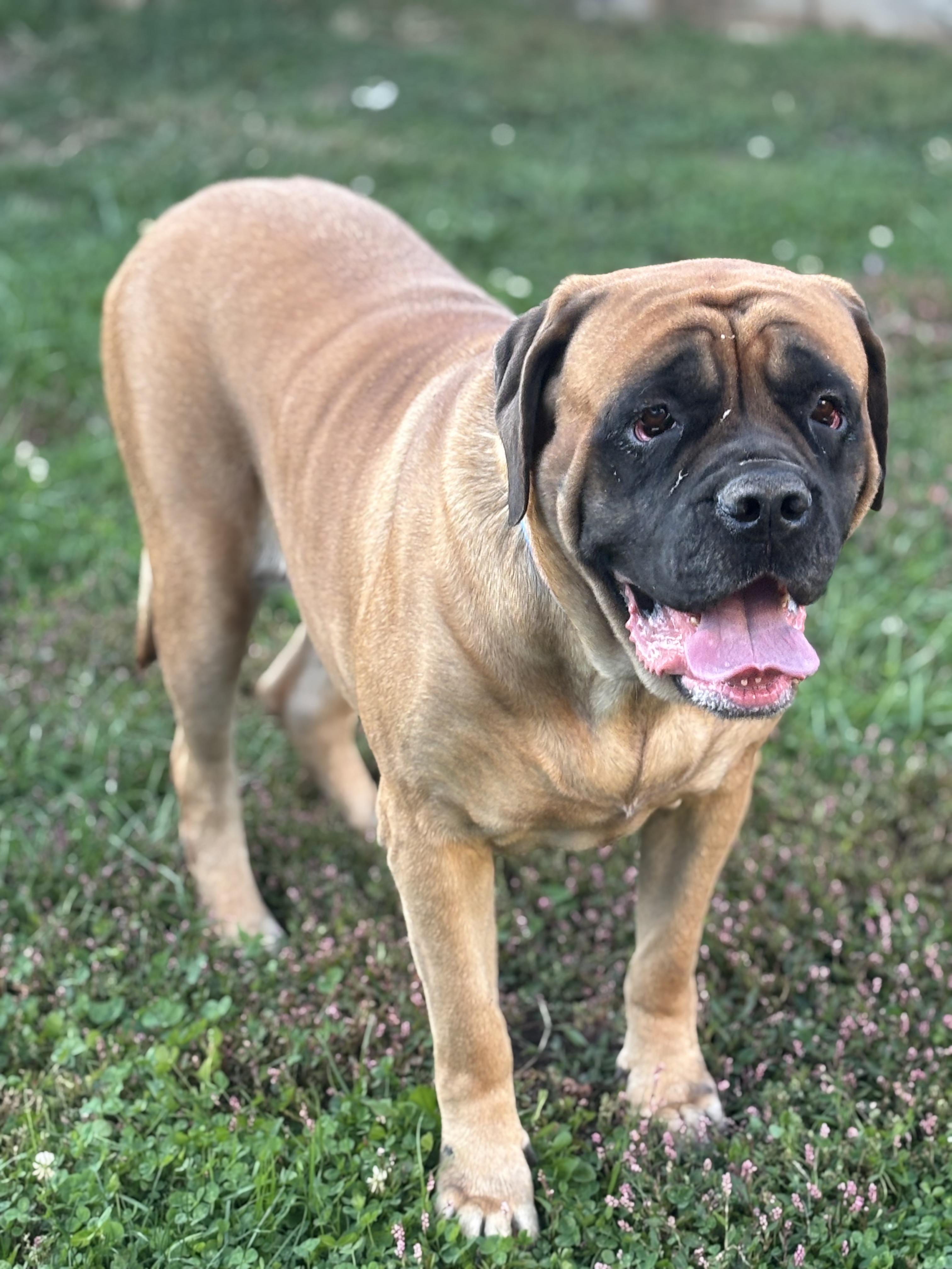 Charlotte — thumbnail 3