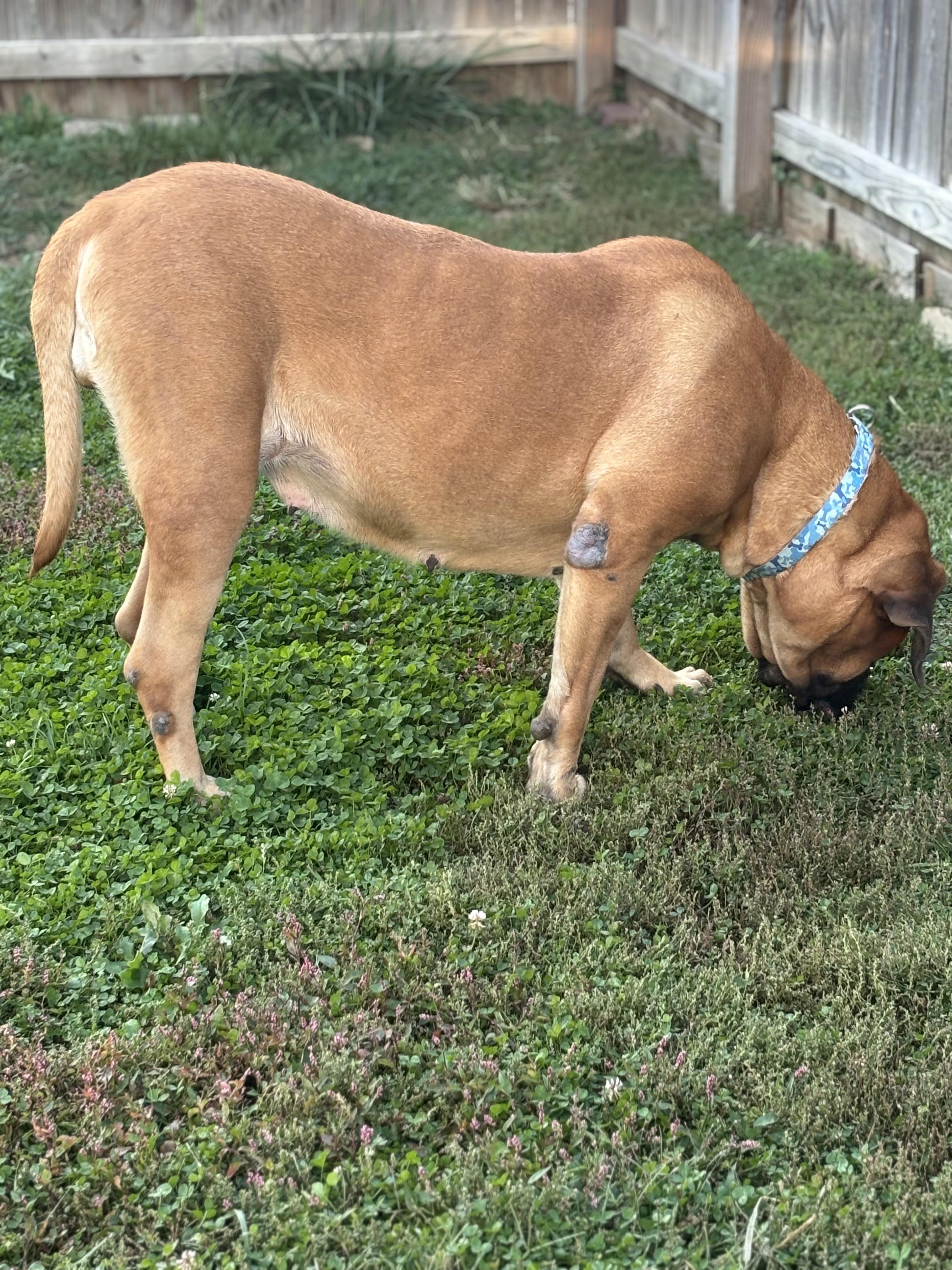 Charlotte thumbnail 6