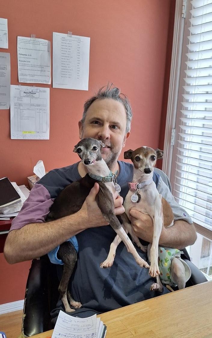 Gretta - Houston, a Adoptable Italian Greyhound in Bellaire, TX image 5/5