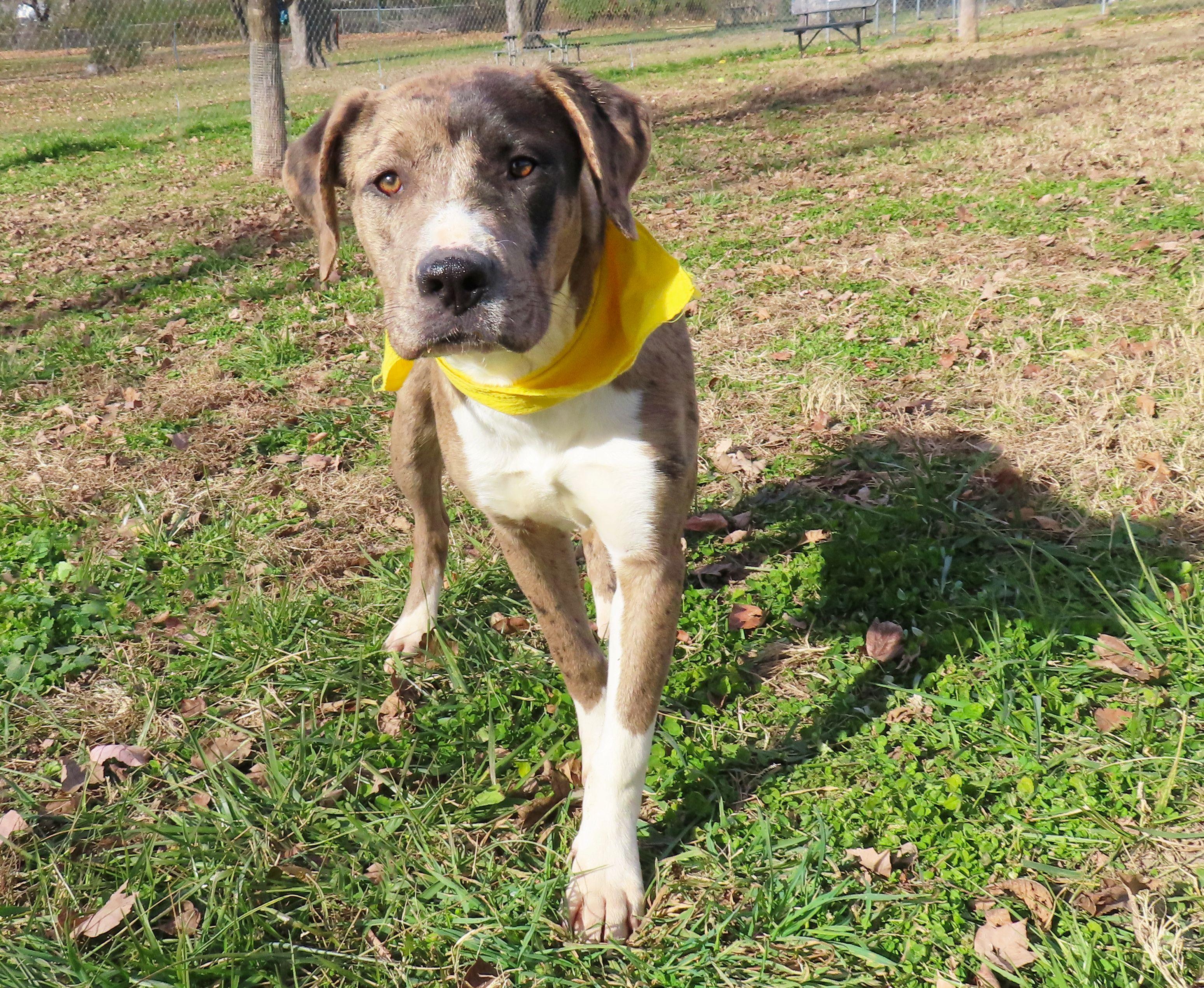 Debbie  Ca thumbnail 2