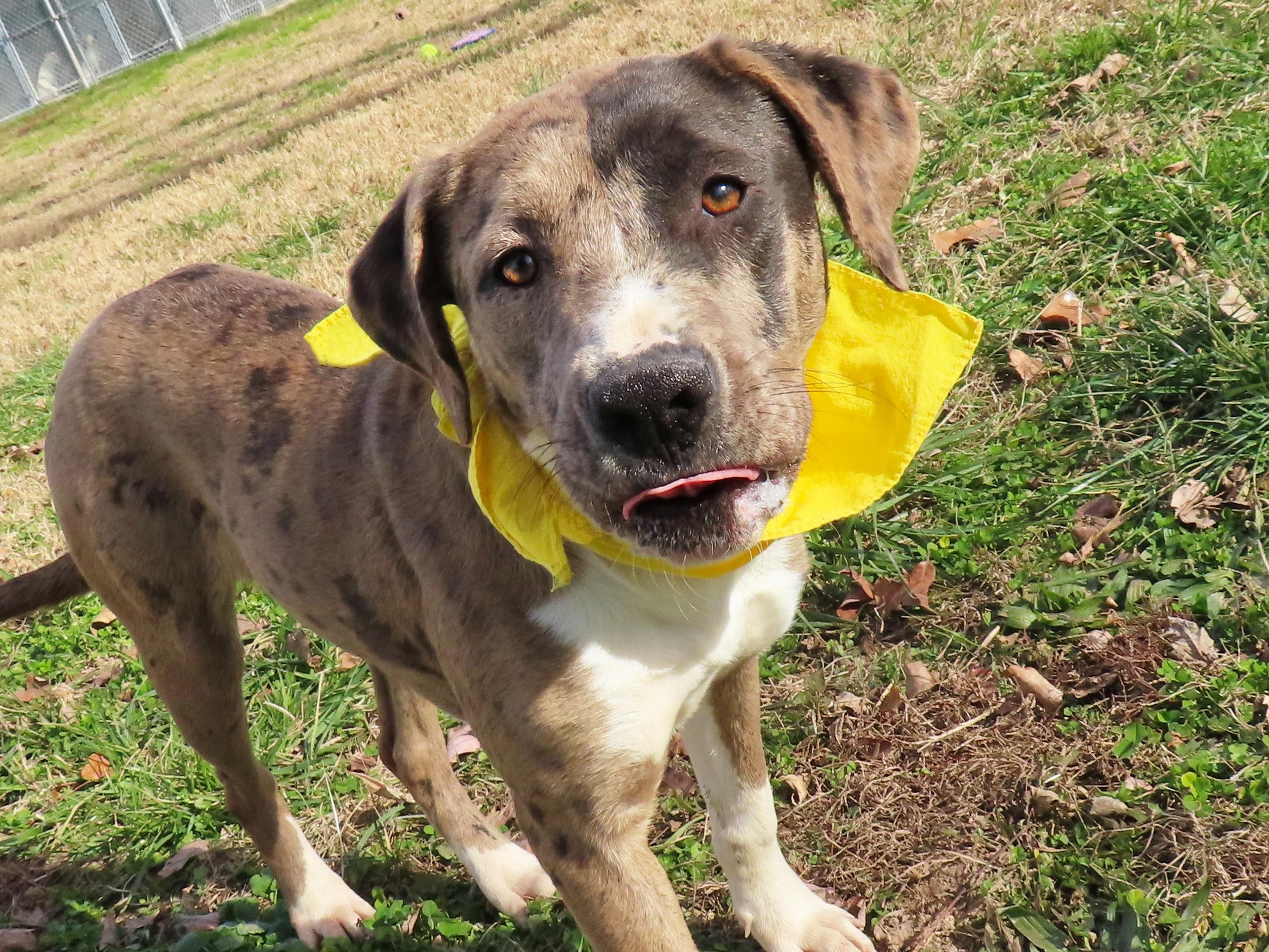 Debbie  Ca thumbnail 3