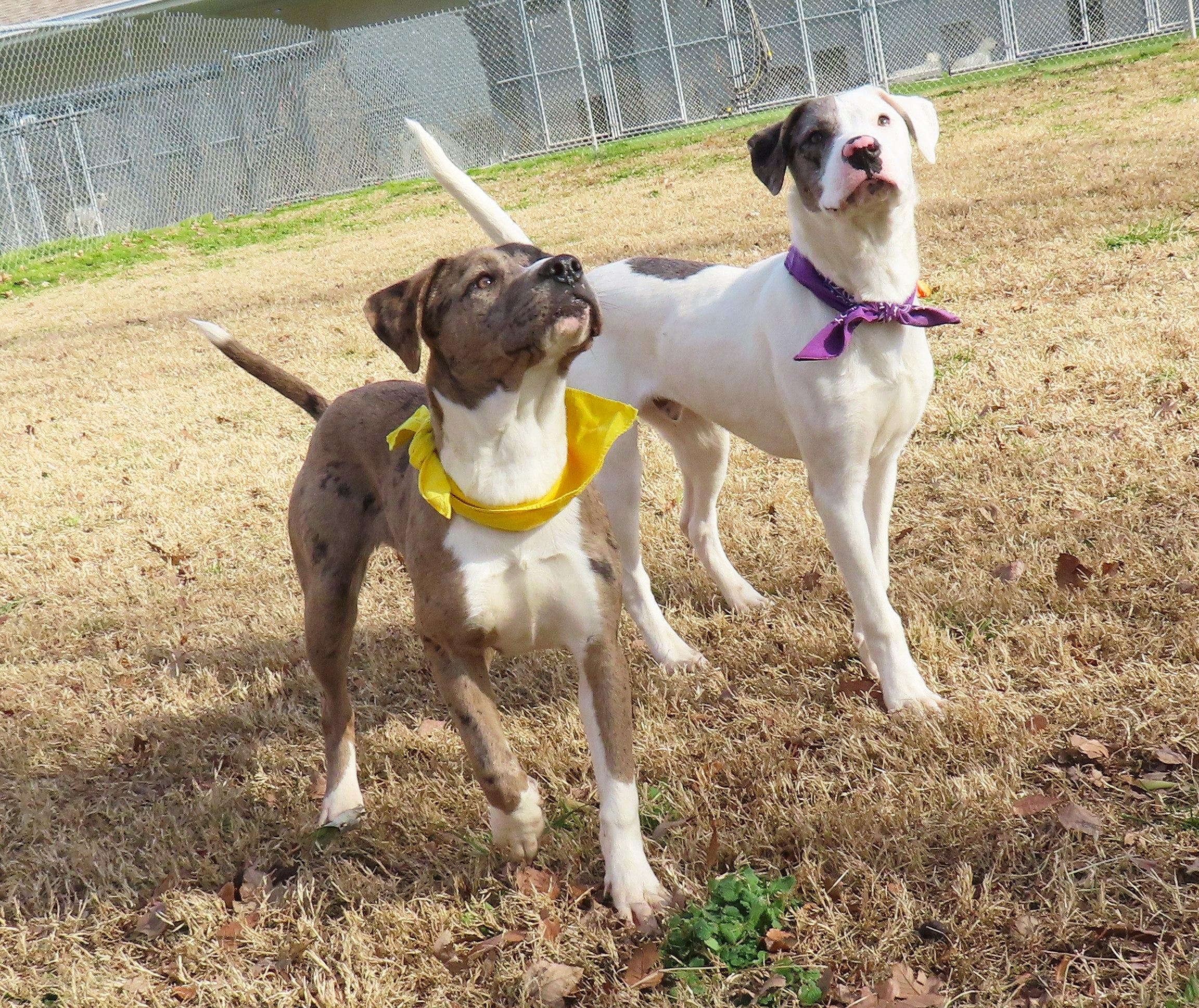 Debbie  Ca thumbnail 4