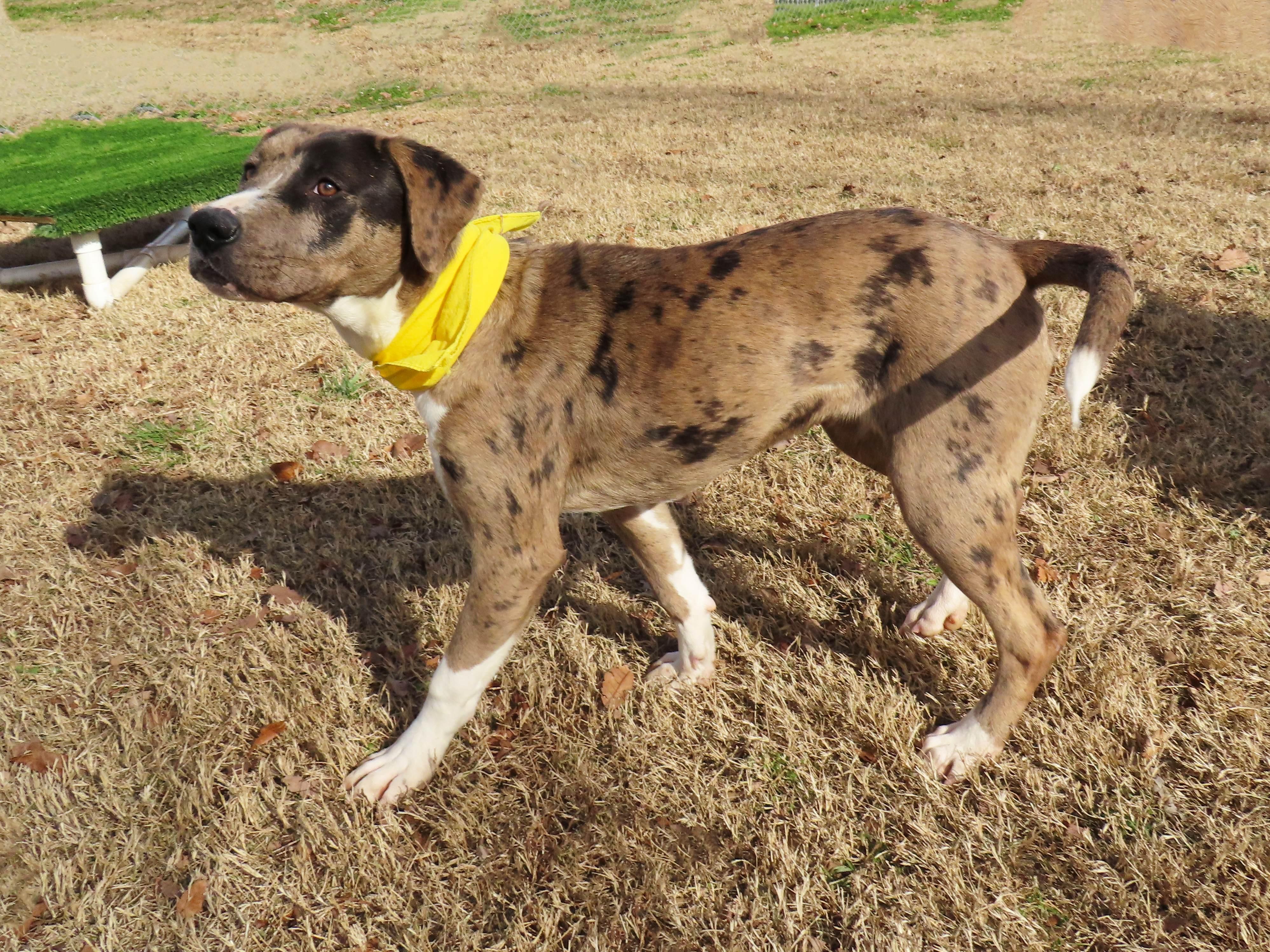 Debbie  Ca thumbnail 5