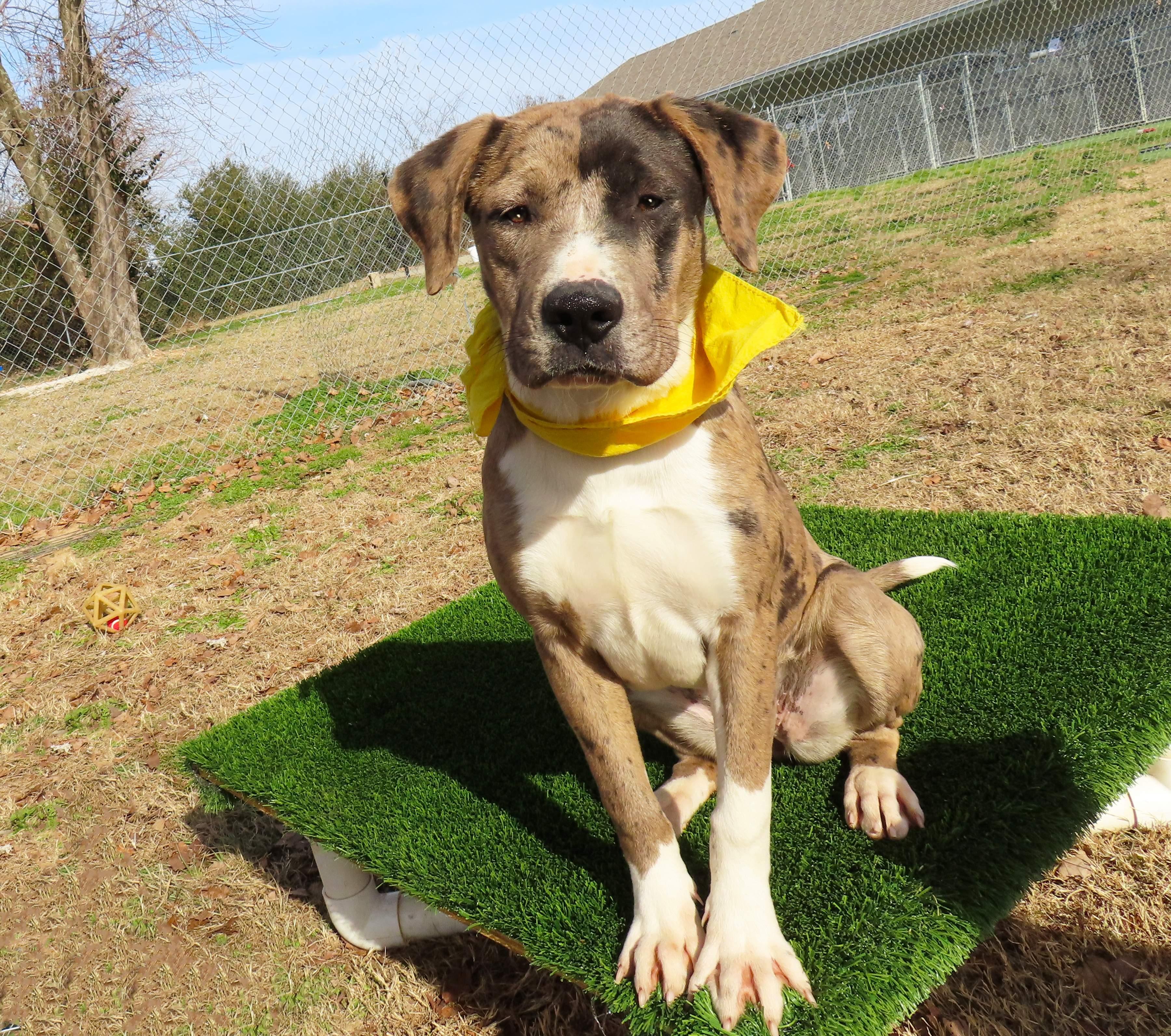 Debbie  Ca thumbnail 6