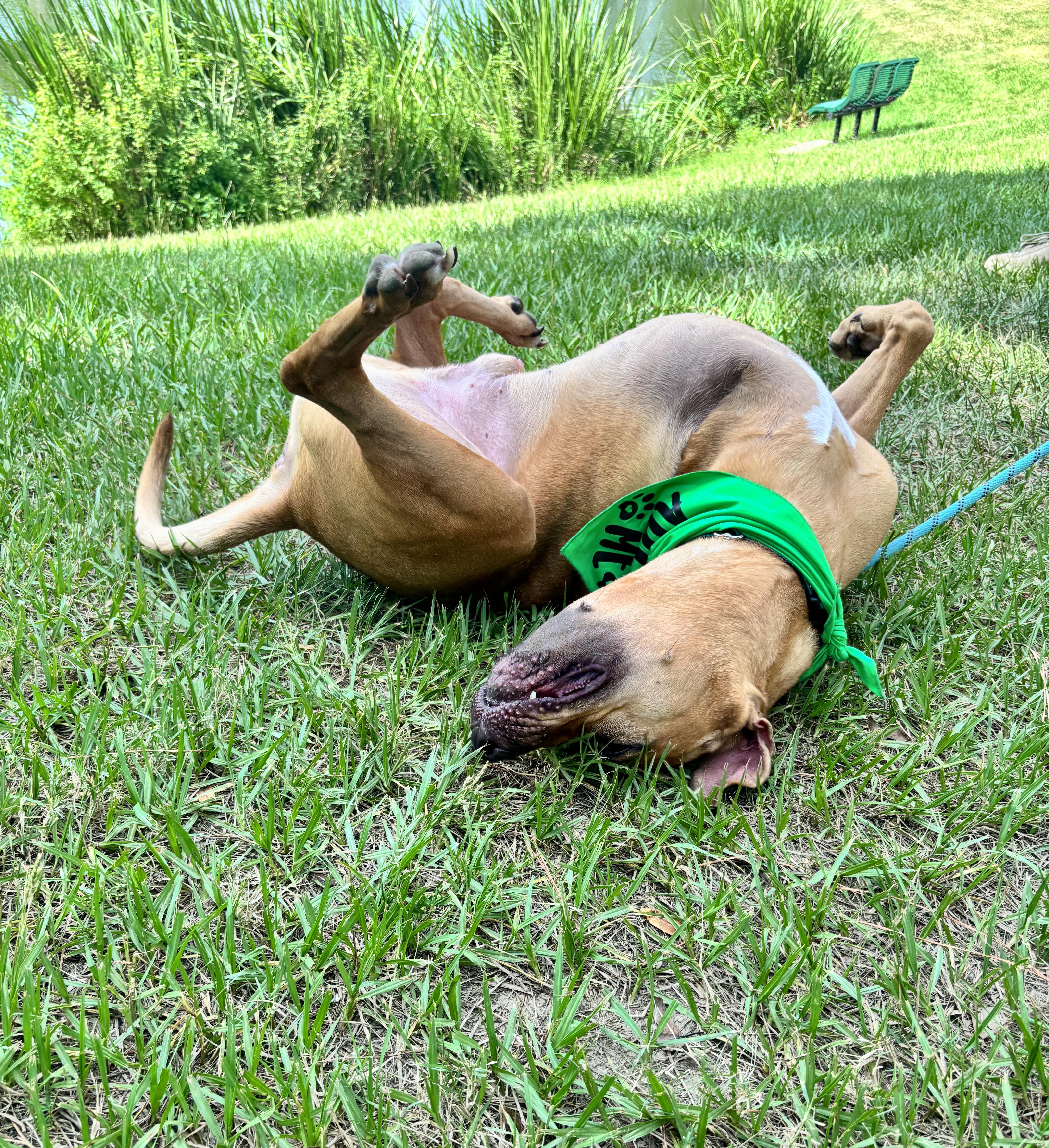 Axel — thumbnail 4