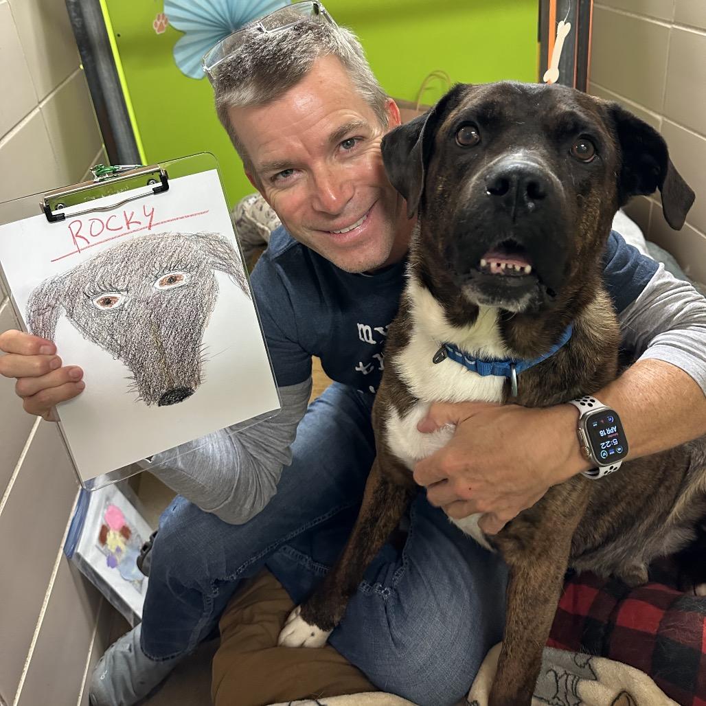 Enlarge Rocky, a Adoptable Mixed Breed in Waukesha, WI image 3/6