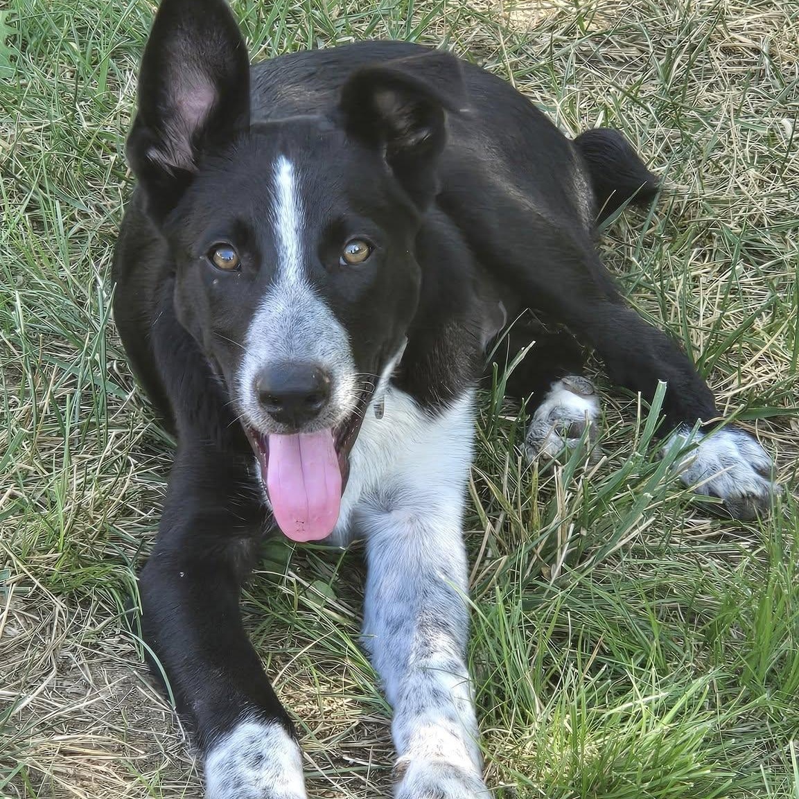 McCafe — thumbnail 3