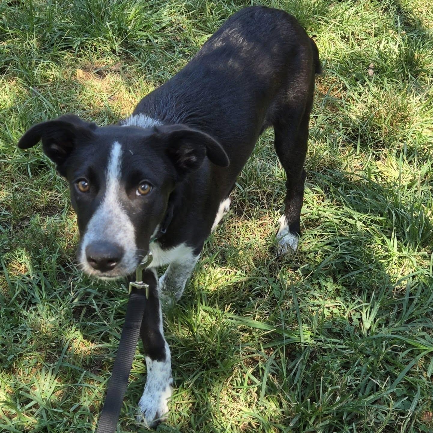 McCafe — thumbnail 4