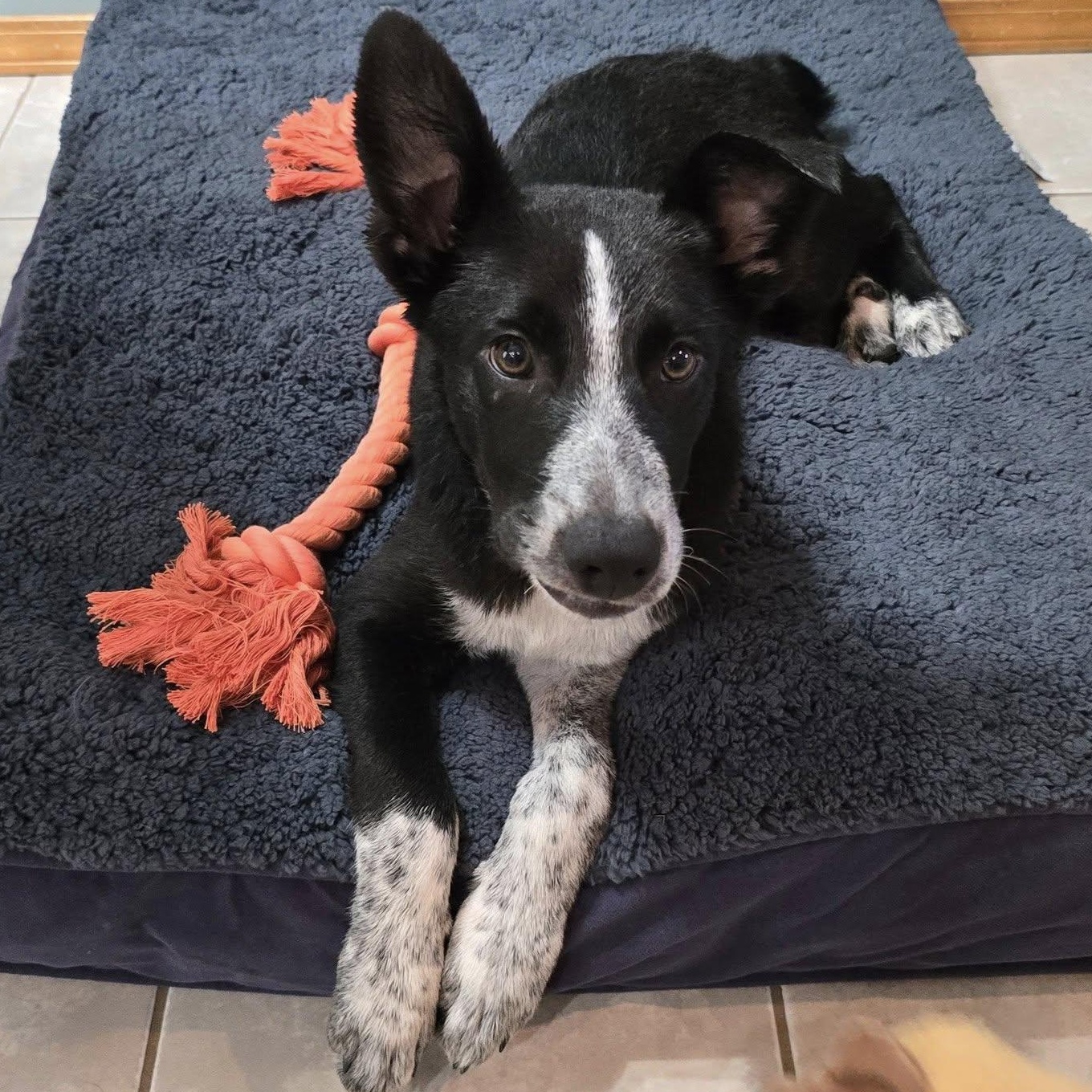 McCafe — thumbnail 6