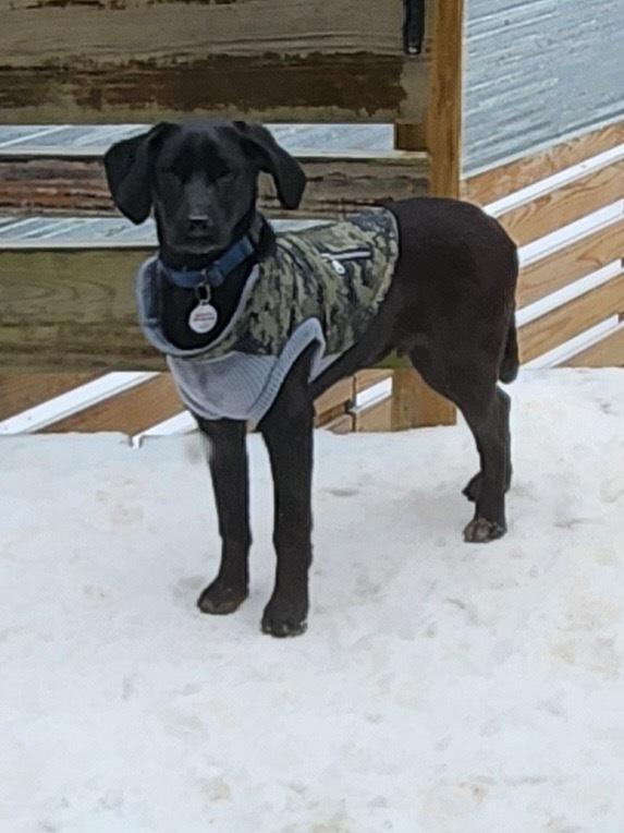 Zane Greyhart — thumbnail 3