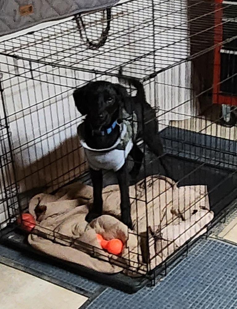 Zane Greyhart — thumbnail 4