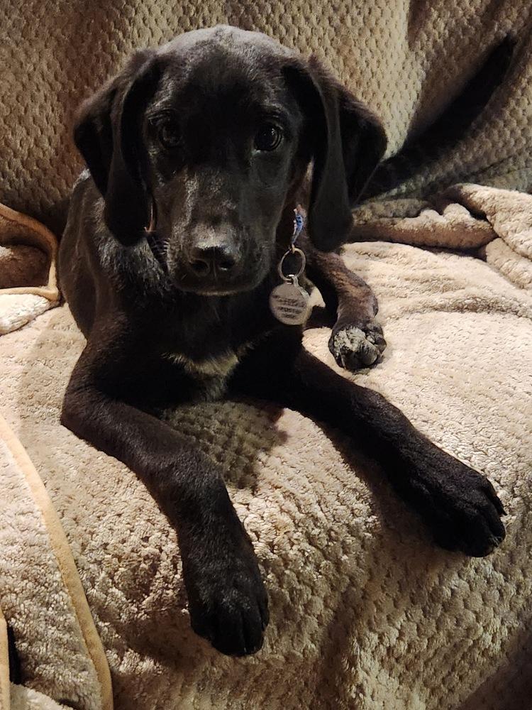 Zane Greyhart — thumbnail 6