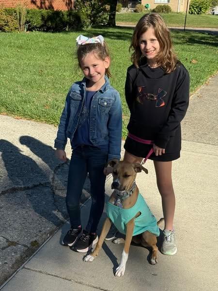 Winny, a Adoptable mixed breed in Kettering, OH image 5/6