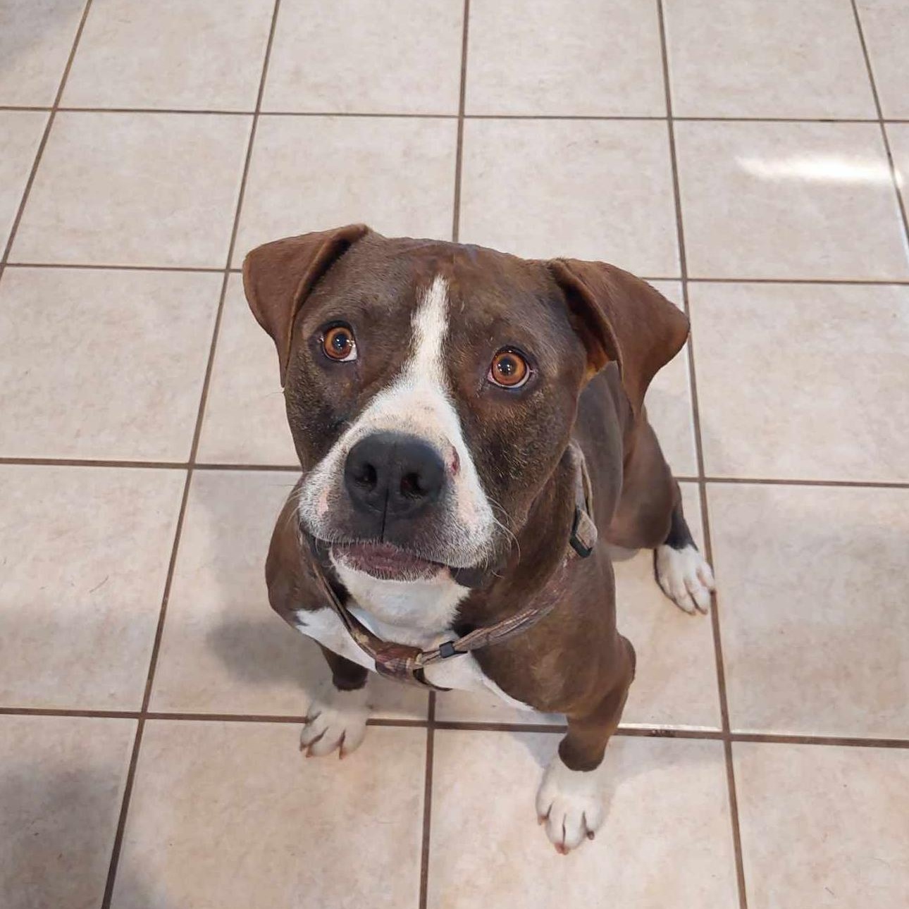 6879 Barney photo 4