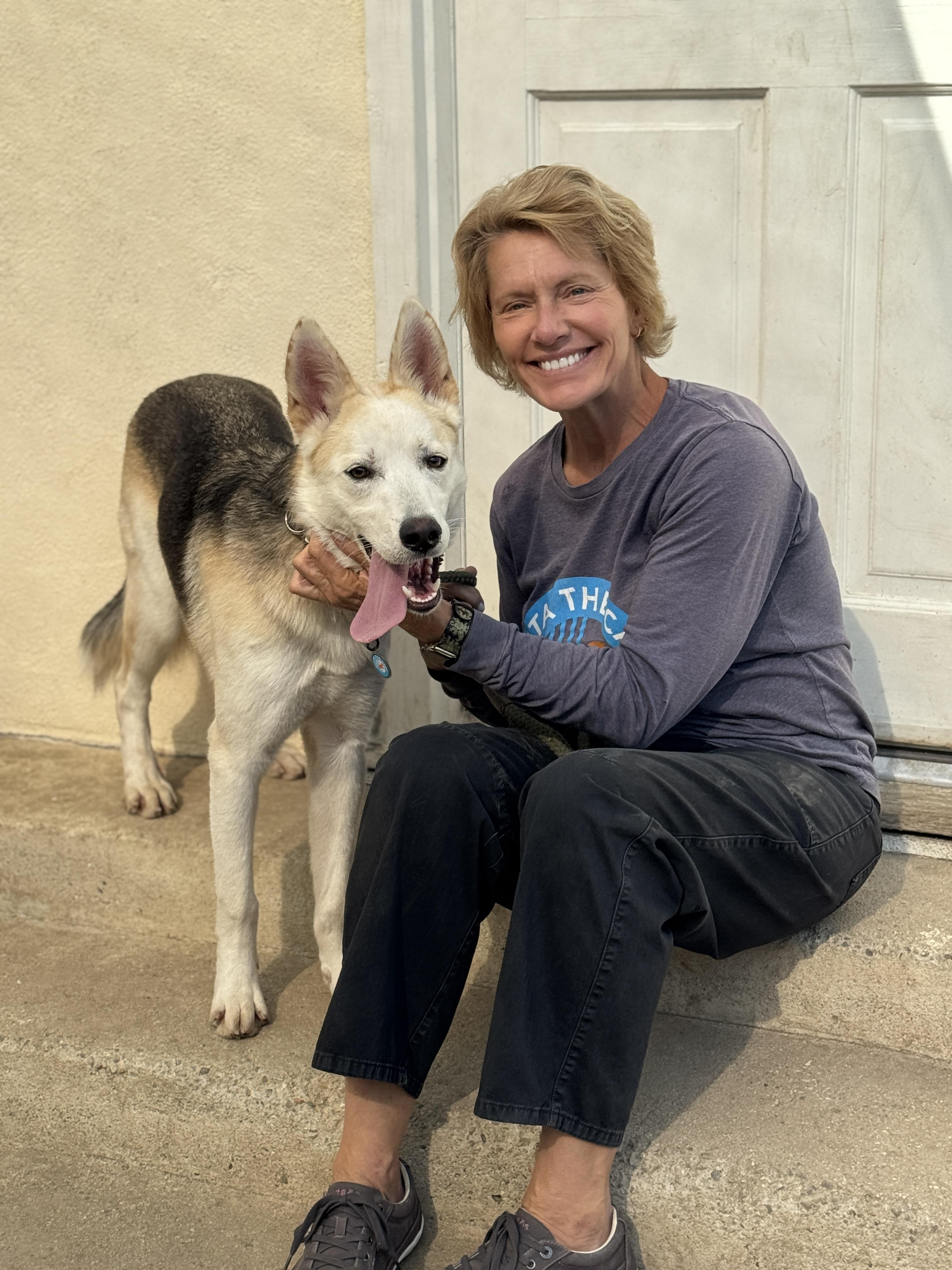 Enlarge Teddy, a Adoptable mixed breed in Encino, CA image 3/6