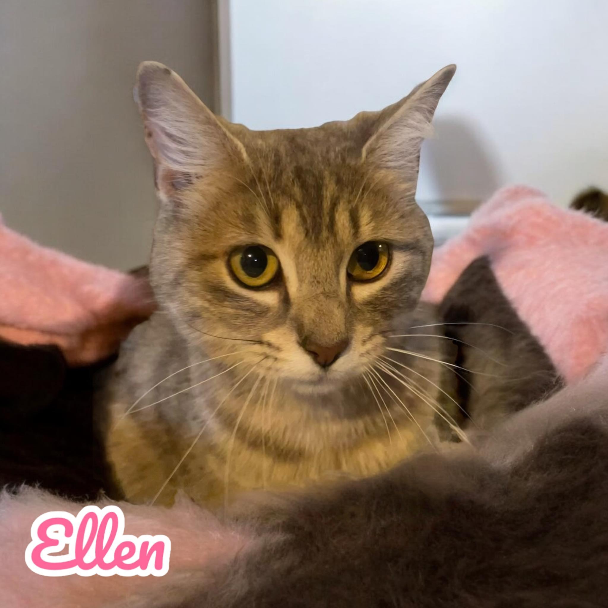 Ellen