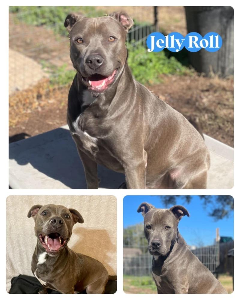 JELLY ROLL