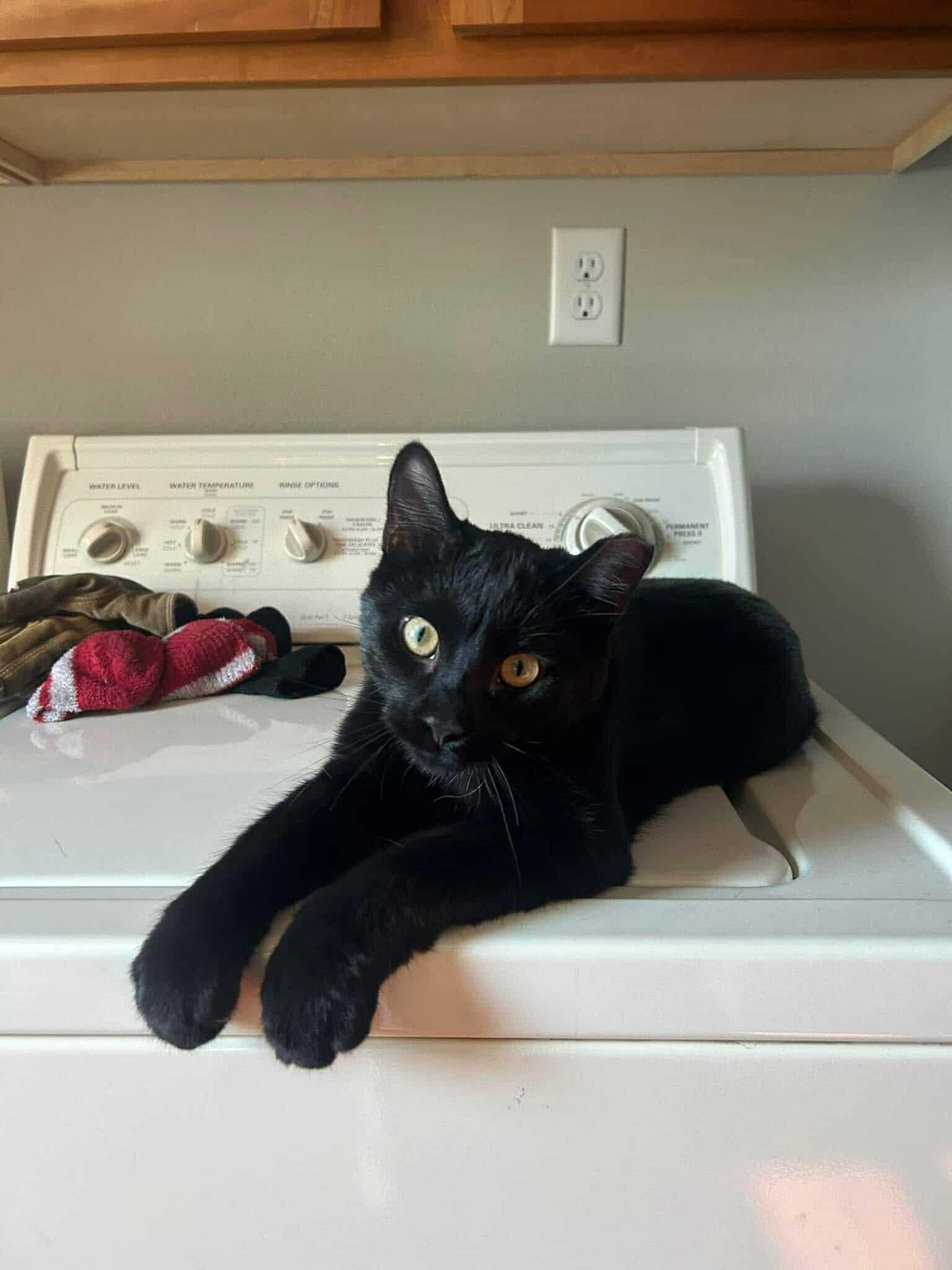 Cobalt (f) & Chrome (f) 2