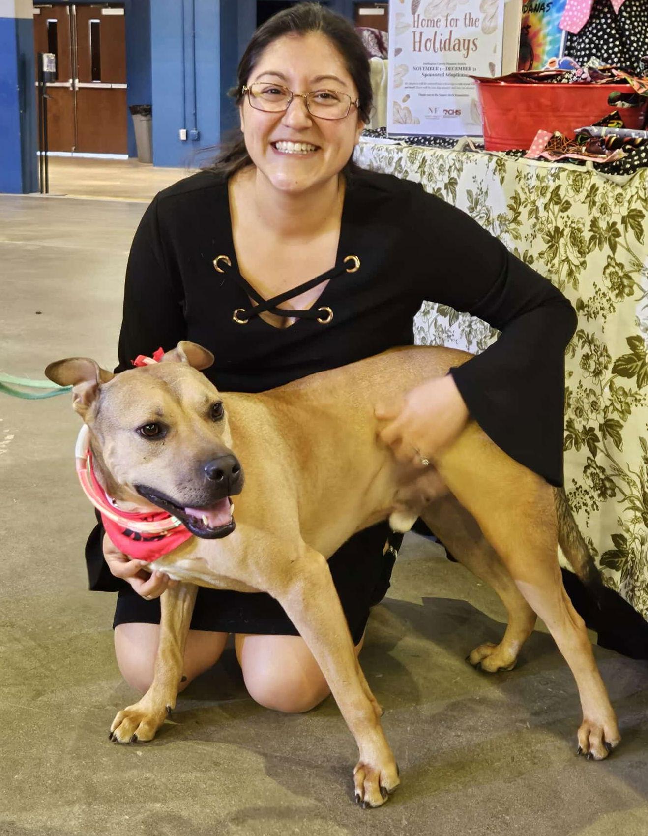 Enlarge Pringle, a Adoptable Labrador Retriever in Doylestown, PA image 3/3