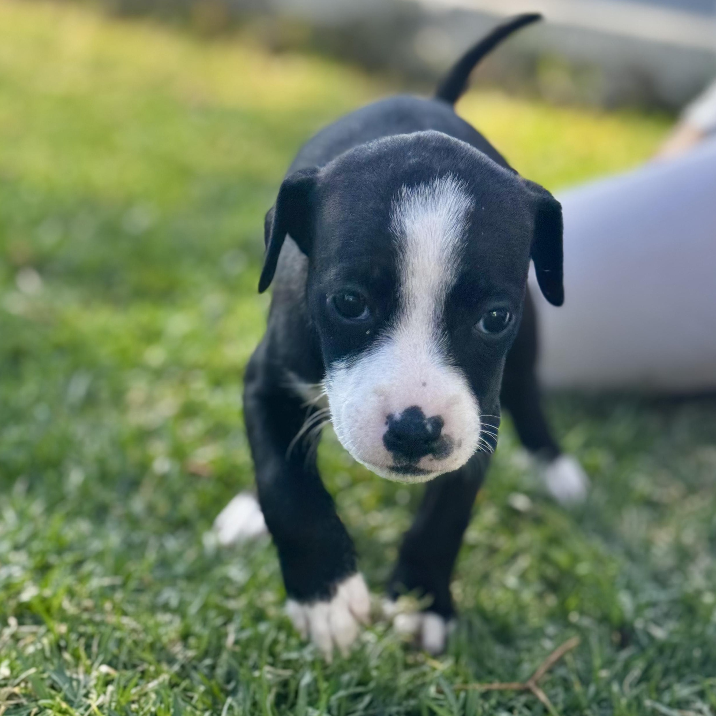 Emma — thumbnail 5