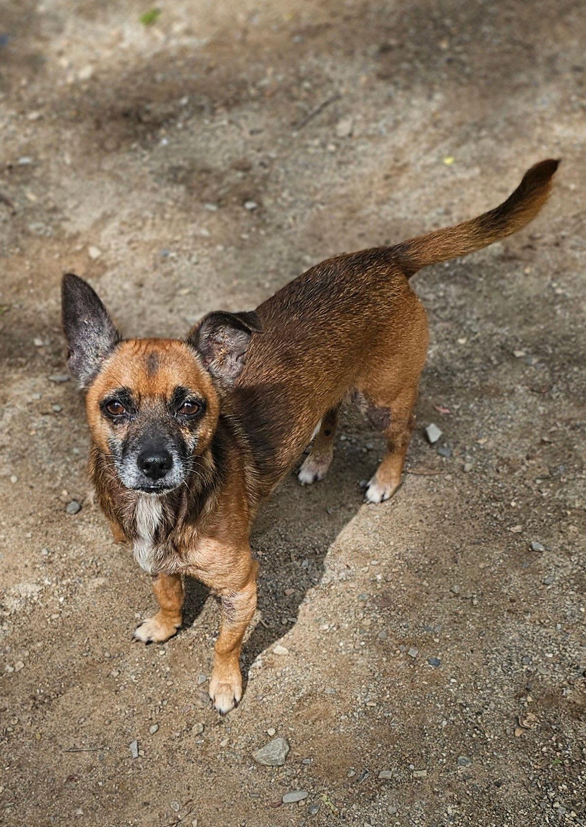 Brody Nj thumbnail 2