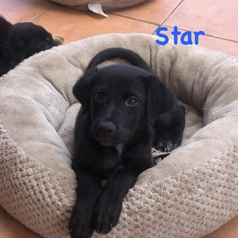Star photo 1