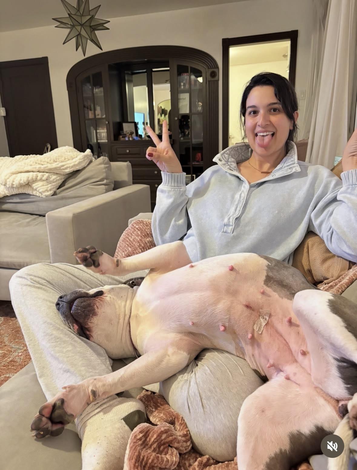 Enlarge Freckles, a Adoptable mixed breed in Pasadena, CA image 6/6