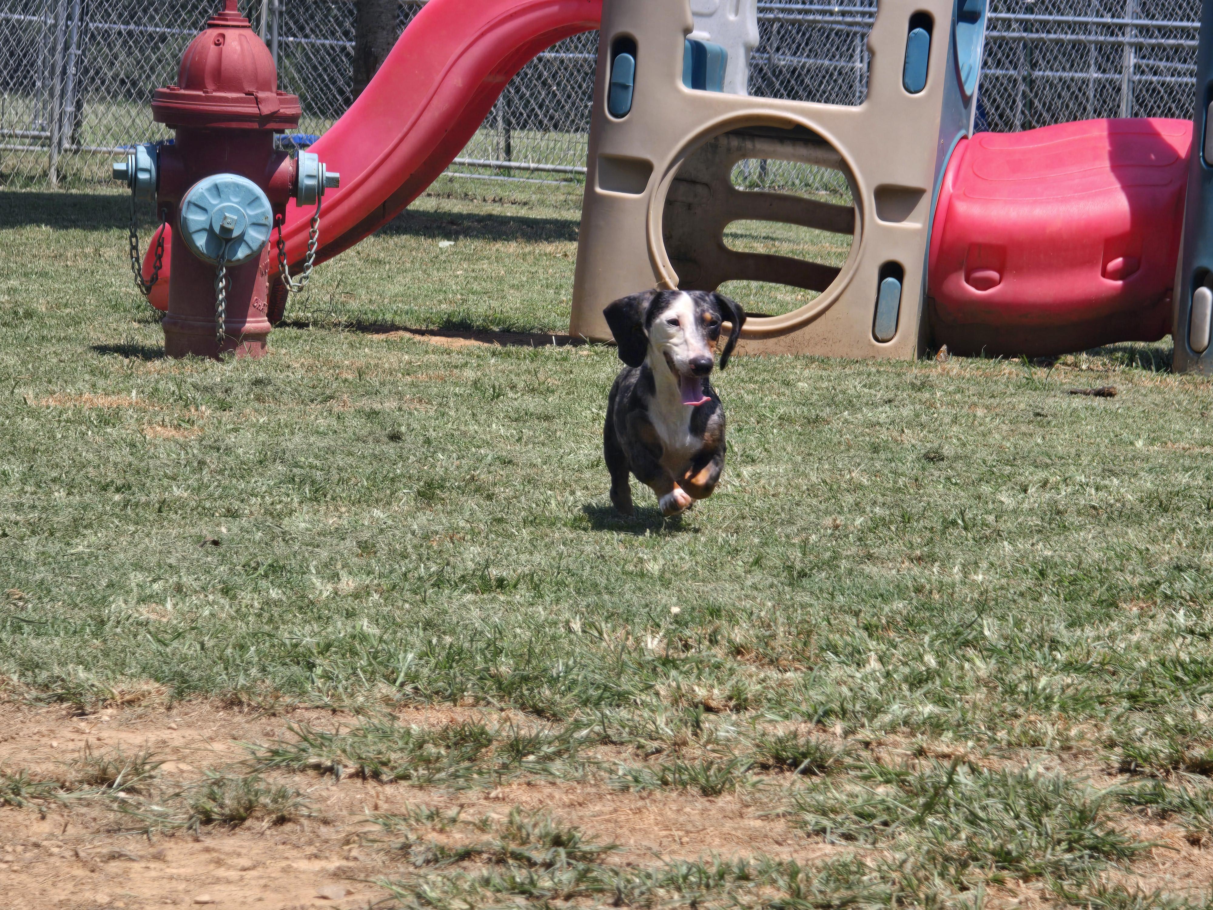 Frankie thumbnail 3