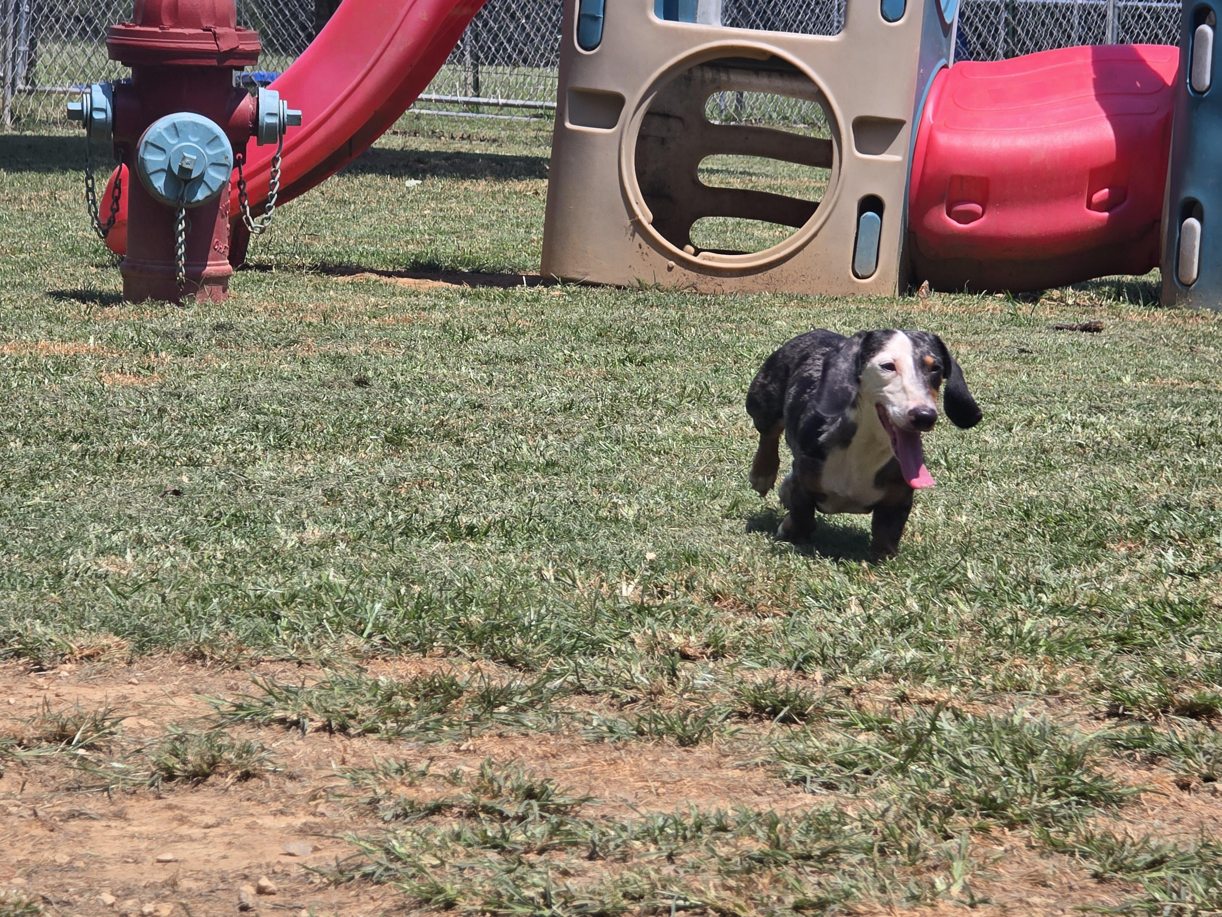 Frankie thumbnail 2