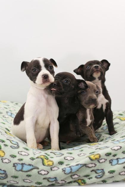 Emily — thumbnail 2