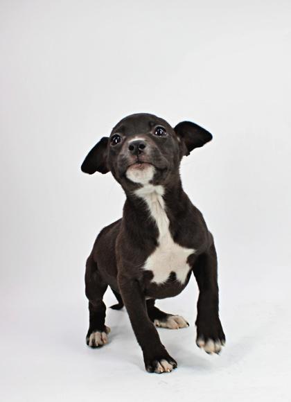 Emily — thumbnail 4