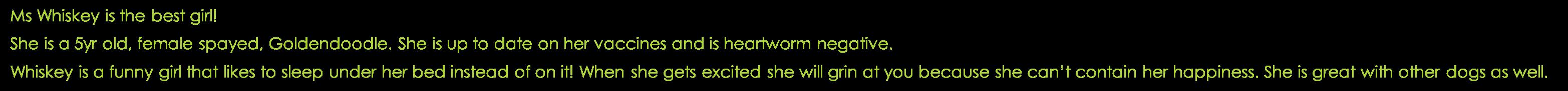 Enlarge Whiskey, a Adopted Goldendoodle in Neosho, MO image 1/2